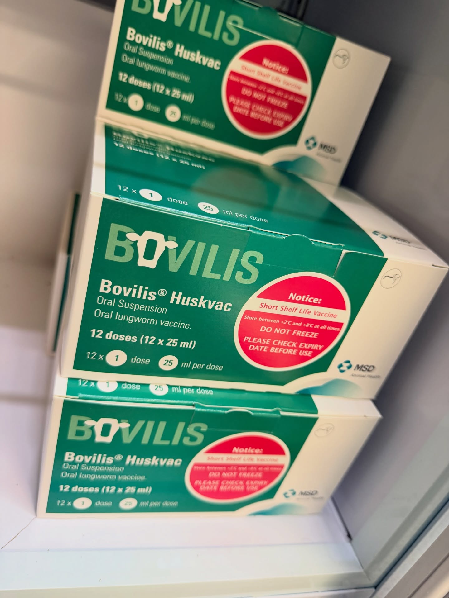 Does the sunshine have you itching to turn your cattle out? Consider Lungworm vaccination before you do! A mild winter followed by a wet yet warm spring makes lungworm a major risk ⚠️
Why vaccinate?
🐄 Vaccinations help build natural immunity so that reliance on worming is massively reduced.
🐄 Worming risks resistance. Vaccination is the sustainable choice to keep treatments working when required.
🐄 An outbreak can cost £50–£100 per affected animal. Vaccination is a fraction of that cost.
To ensure your cattle are fully protected you must start planning now:
1. Dose 1: For healthy calves at least 8 weeks old.
2. Dose 2: 4 weeks after the first dose.
3. Turnout: 2 weeks after the second dose.
Prioritising vaccination of cattle whose first grazing season is coming up is key! Generally, re-vaccination is not required as immunity is maintained from season to season by the exposure to lungworm larvae, which in most cases occurs from the grazing of normal pastures.