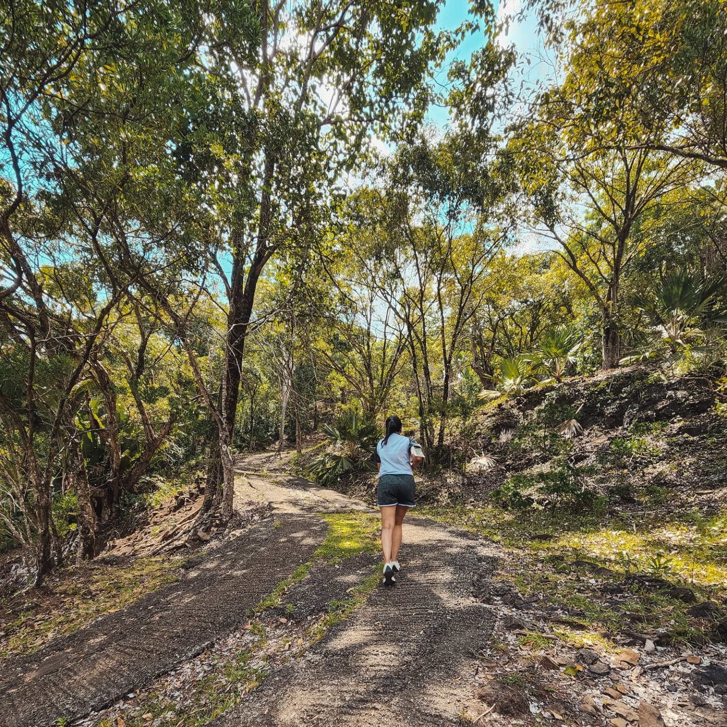 Whether you're chasing the climb or flowing with the descent, we've got the perfect fit for your run.
Dri-Fit Tees: Feels light, dries fast, and keeps sweat away—so you stay fresh, mile after mile.
Cotton Tees: Soft, breathable, and effortlessly comfortable—perfect for easy runs and laid-back miles.
No matter how you move, Alph Hunt has you covered.
Shop now at www.alphhunt.com or DM us!