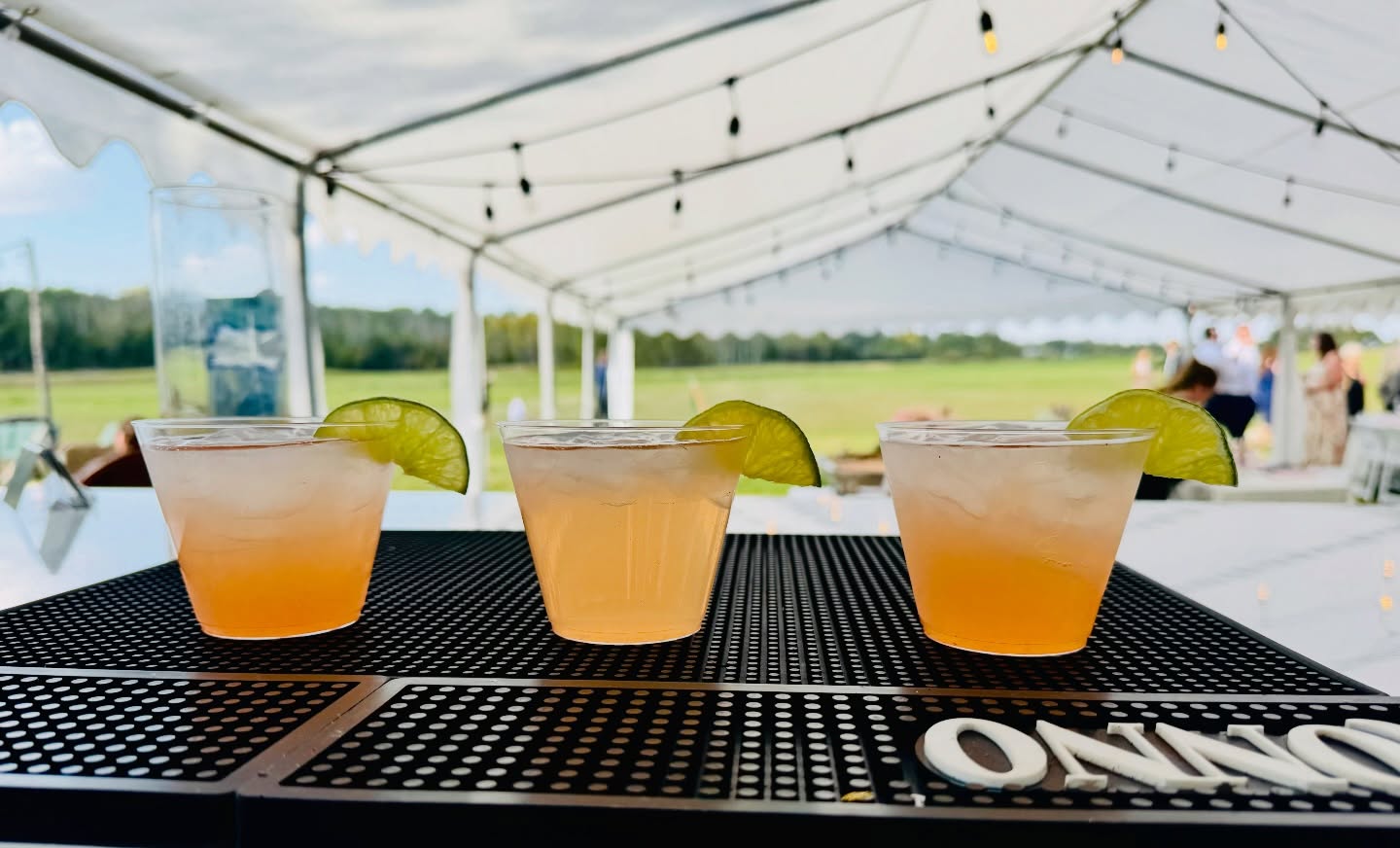 #aaamobilebartending #signaturecocktails #weddingbartender #reddeervendor