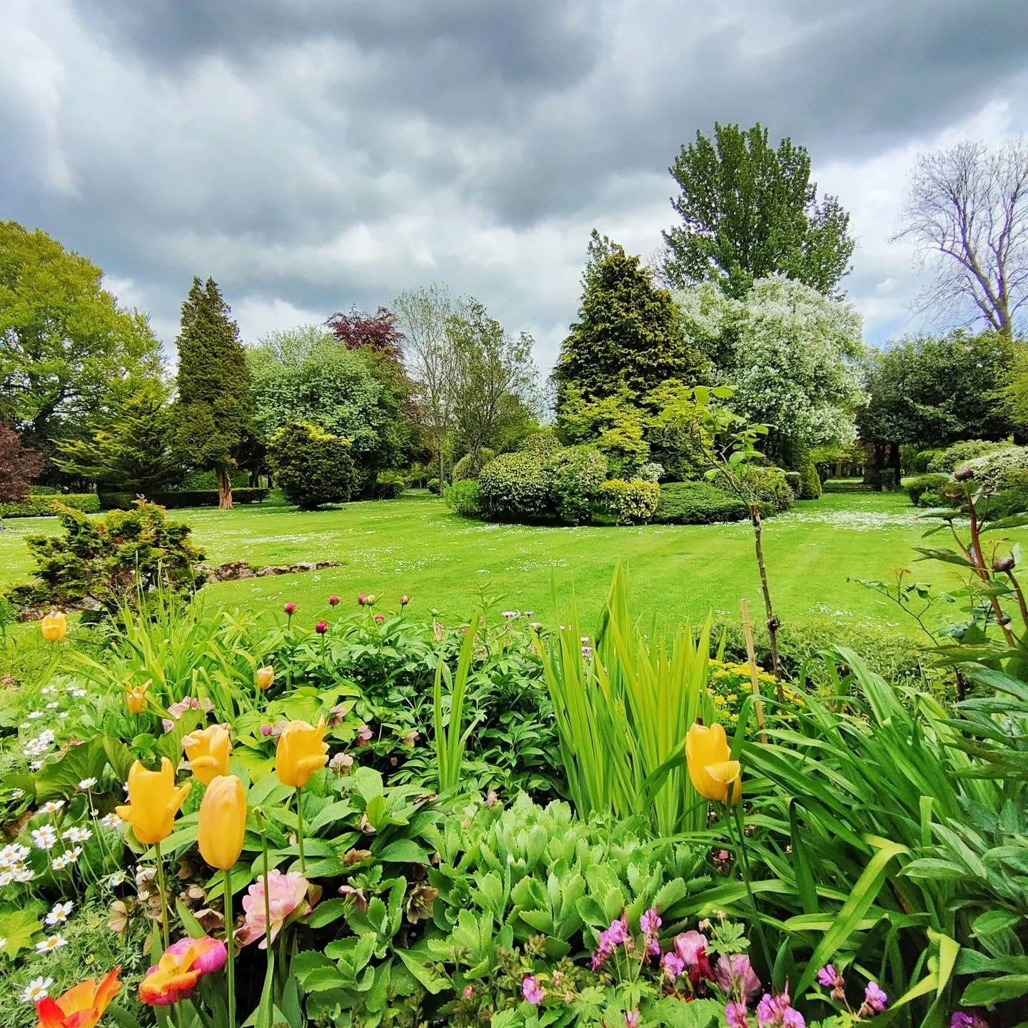 Lots of colour in a client's border this week . A combination of Geraniums, Peonies, Tulips , Alpine Marigolds.
#spring #springcolors #springday #garden #gardening #gardeninspiration #instagarden #green #bloomsford #tulips