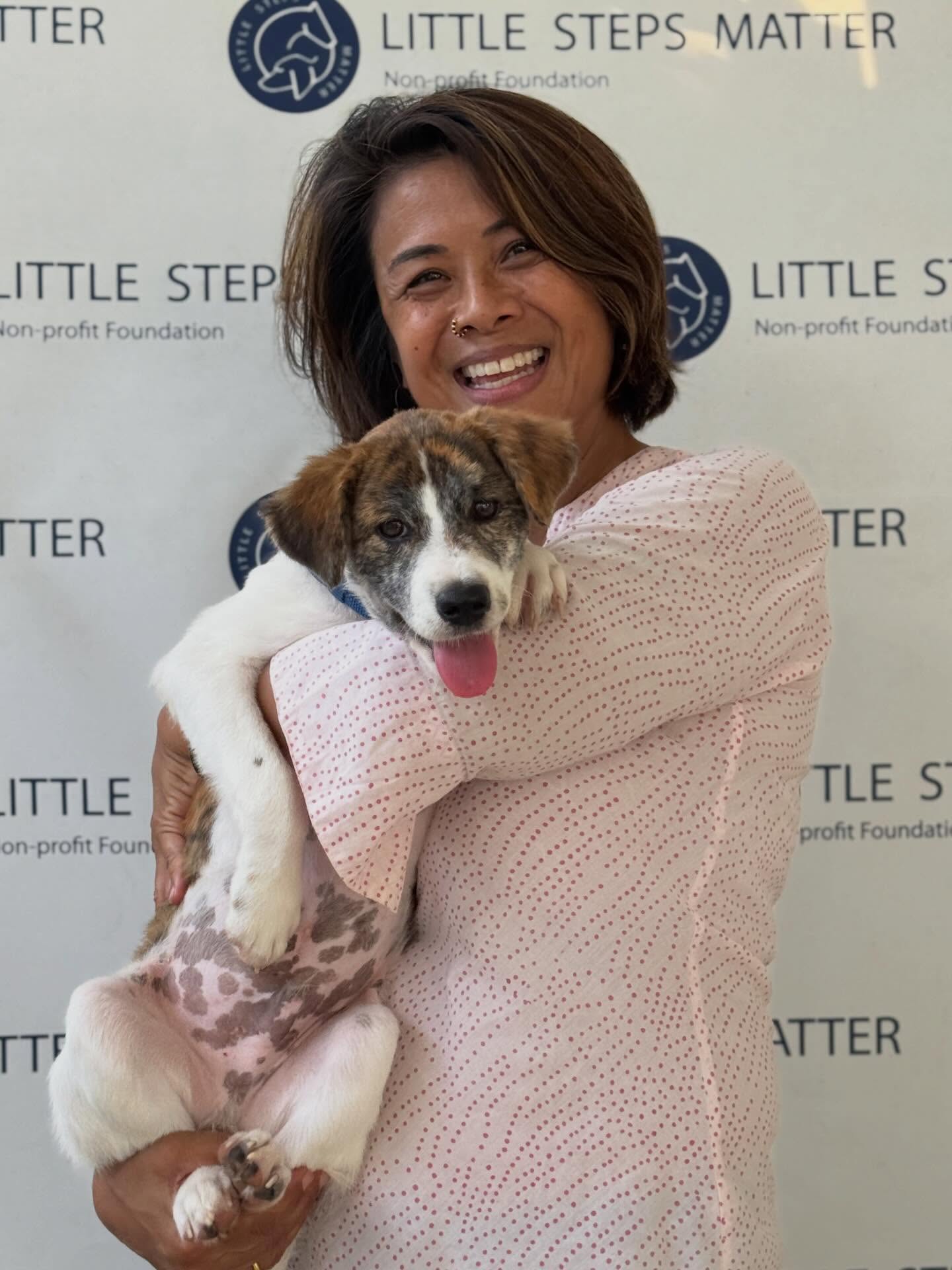 💙 Forever loved 💙
We are so excited to share some wonderful news with you that our sweet boy Lumi has found his forever home with Siera, and his new sister Ginger.
At the beginning of February, we found Lumi in an absolutely heartbreaking state: severely dehydrated, extremely underweight, and suffering from painful mange.
With the care, patience, and love from our team, he made an incredibly fast recovery at the Safe House, slowly returning to the soft, gentle boy he truly is.
Siera had reached out to us some time ago with the intention to adopt, but along the way, another dog in need crossed her path first, Ginger, who she rescued and welcomed into her life.
Now that the time was right, Siera had been following our rescue stories and reached out again after feeling a connection to Lumi.
There was something about him that stayed with her — something about those eyes. Soft, gentle, and quietly asking for a second chance after everything he had been through.
From that moment, it just felt right.
Now in his forever home, it was so wonderful to see Lumi and Ginger together who have bonded instantly. Our hearts couldn’t be more full.
Be safe, be happy, Lumi! Always! 🐾
We still have many more wonderful dogs waiting for their chance at a loving home. Please visit our Safe House to meet them or message our partner page @littlestepsmatteradoption for further inquiries ✨