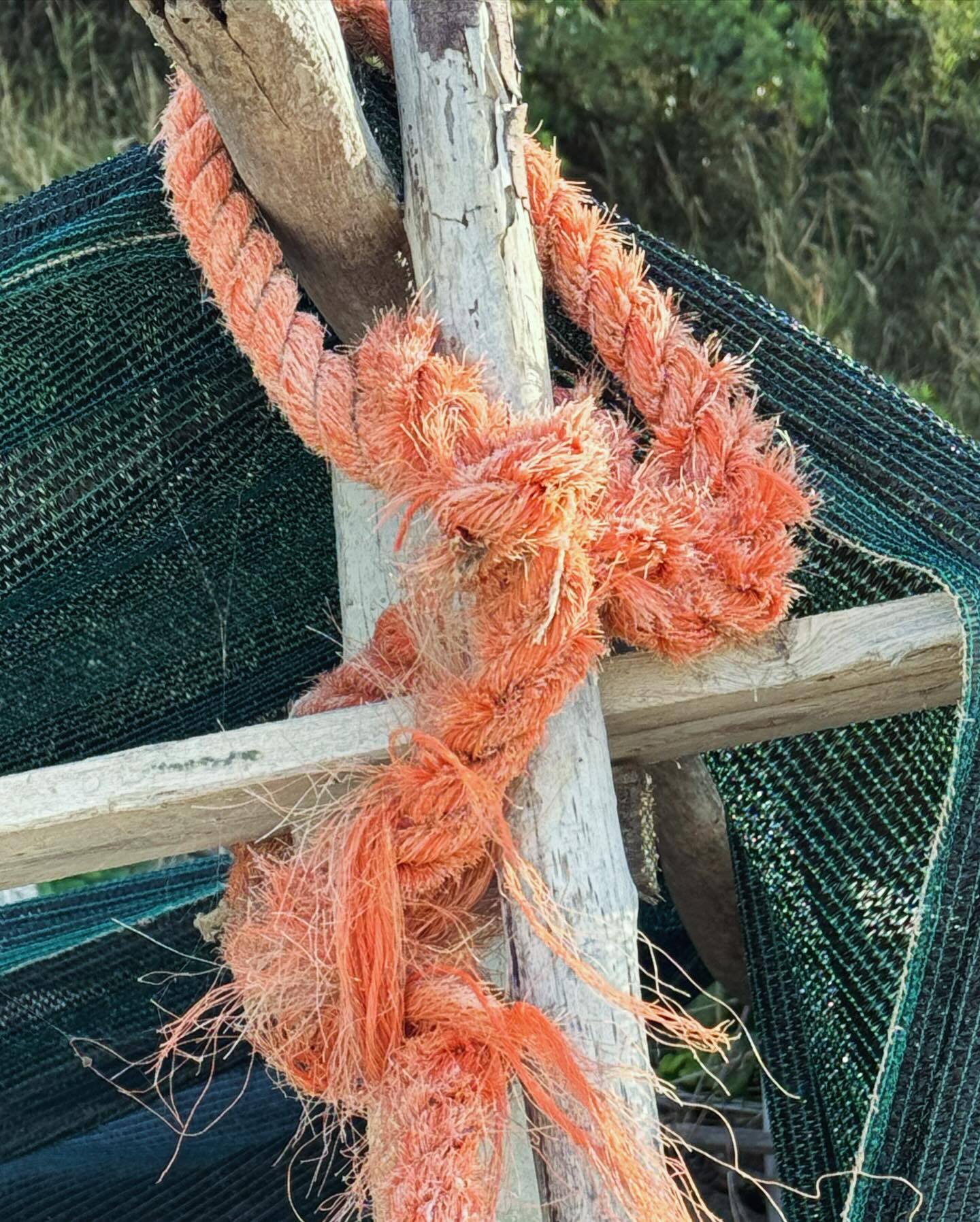 Winter beaches… #whenincalabria #beachlife