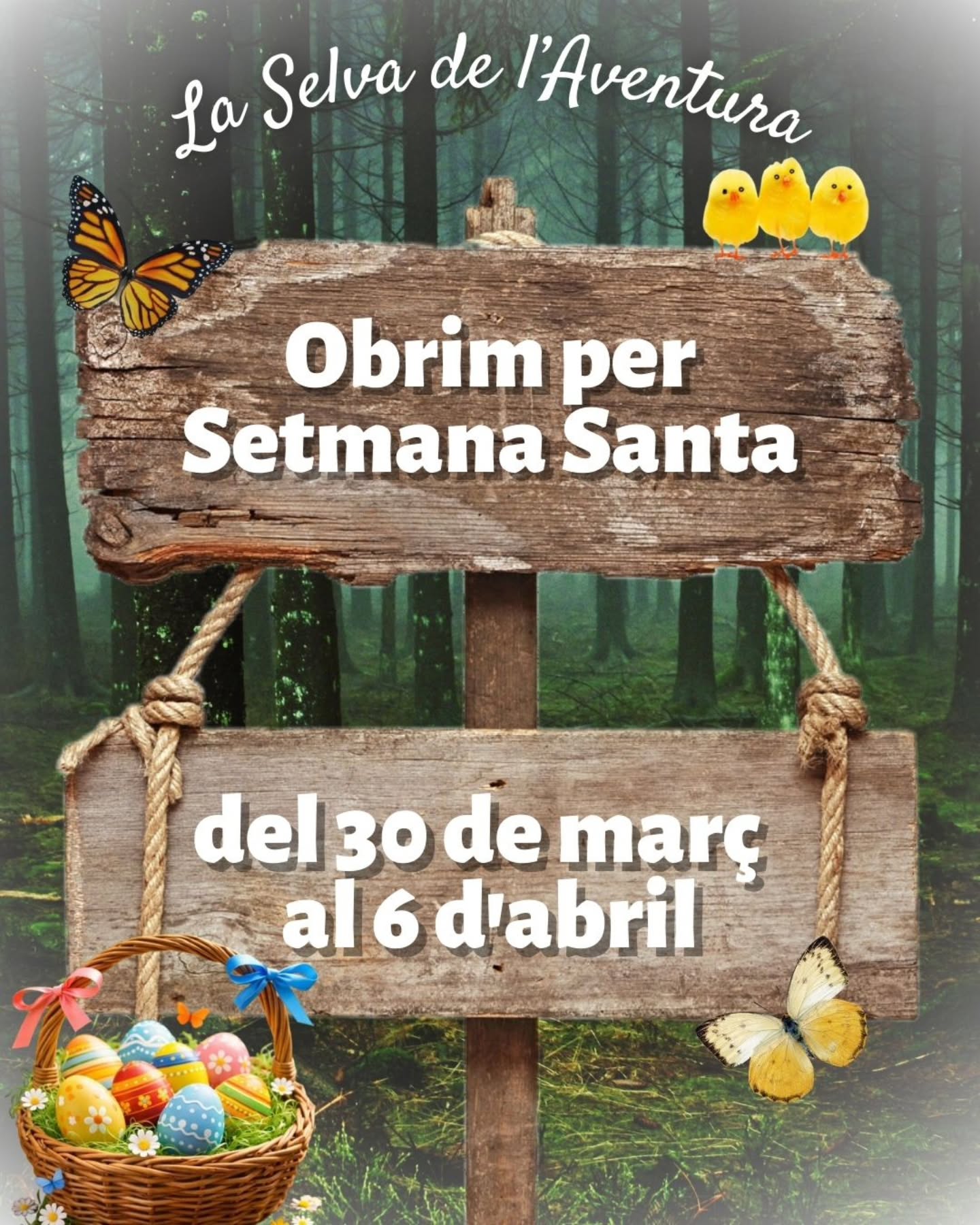 ✨No et perdis la Setmana Santa més emocionant! Vine a gaudir d’aventures i emocions en plena natura del 30 de març al 6 d’abril.
Explora les nostres activitats, diverteix-te amb els teus i viu el bosc d’una manera diferent🌿🪲🐛
⚠️Reserva prèvia: les places són limitades, així que assegura’t la teva:
🌐 www.selvaventura.com
📞626.799.335
📧 info@selvaventura.com (dilluns a divendres)
#setmanasanta #semanasanta