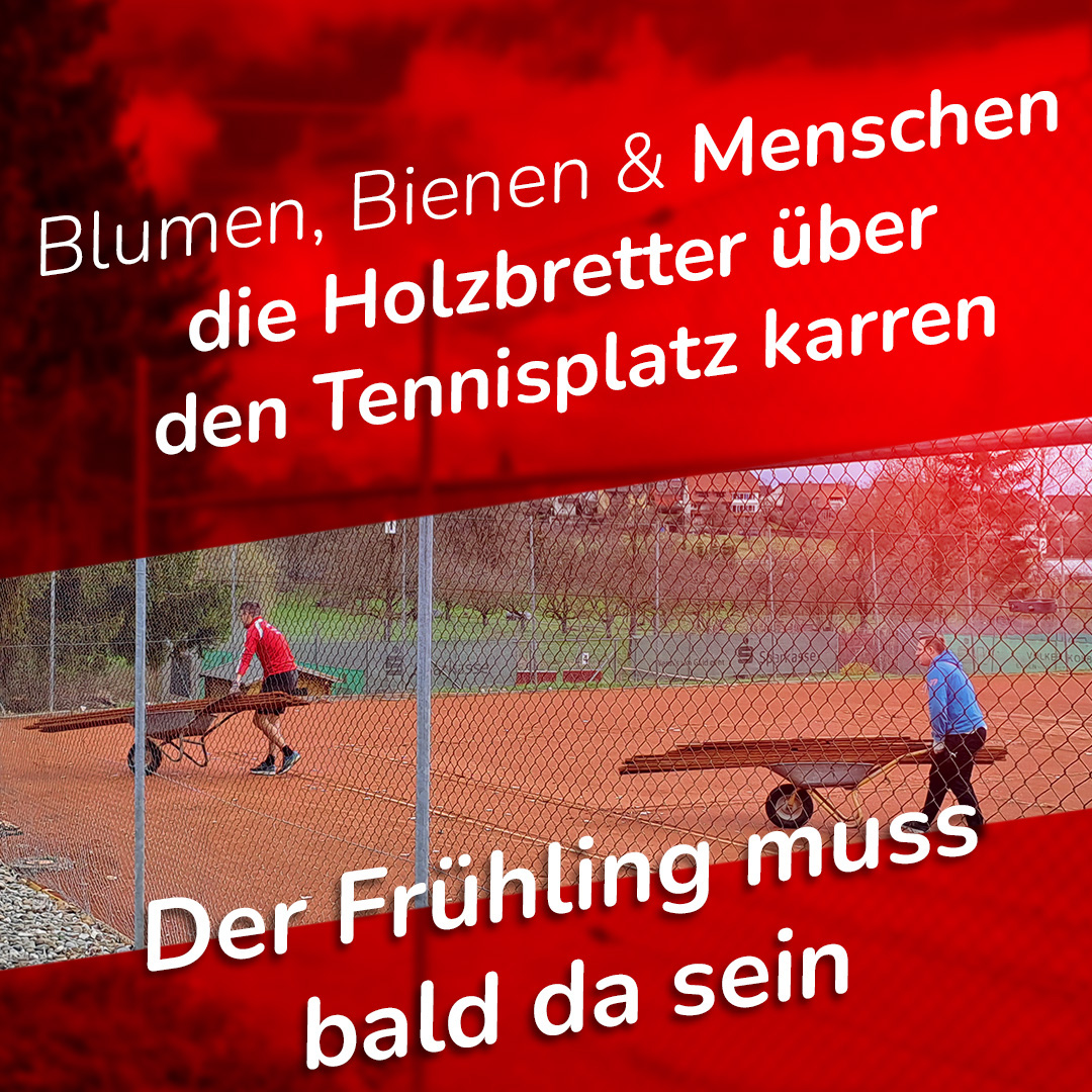 Der Frühling steht vor der Tür. Somit dauert es nicht mehr lange, bis wir die Plätze 1 - 3 öffnen können. Einige Mitglieder haben gestern im Rahmen des Arbeitsdienstes die oberen 3 Plätze für die finale Frühjahrsinstandsetzung vorbereitet. Die Steine und Bretter wurden von den abgedeckten Linien entfernt und Laub, Reisig und Tannenzäpfen wurden weggeräumt. Die Maschinen rollen am Dienstag, den 22.03 an. Dann wird die lose obere Schicht entfernt, neuer Sand aufgetragen, Löcher geebnet, eingeschwemmt, abgezogen und die Linien werden gerichtet. Danach muss der Platz am besten 2 Wochen "ruhen". Durch regelmäßiges Beregnen und Abziehen (bzw. Walzen) der Plätze wird in der Zeit die Verbindung der harten Ziegelsanddecke wieder hergestellt.
Spielen können wir dann voraussichtlich ab dem 2. April auf den oberen 3 Sandplätzen.
#tcengen #tennisclubengen #tennis