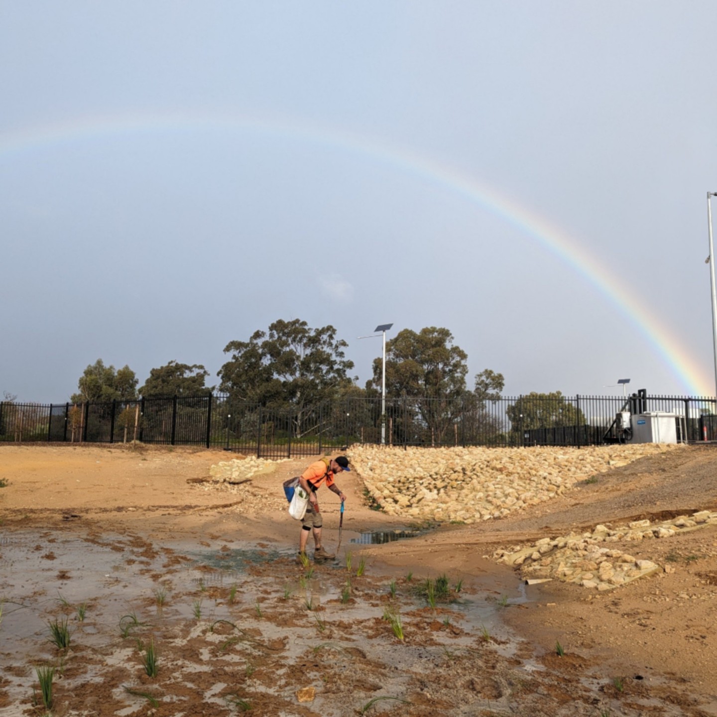 🌧️☔ Planting Trees in Giant Puddles: A Throwback to our Muddy Adventures! 🌱💪
As the summer months get closer, we're throwing it back to those wet, wild, and oh-so-muddy winter days when we decided to take on the elements and plant trees! 🌳🌨️ Yes, it was miserable at times, but the reward was worth every soggy sock. 💦😅
Our team didn't let the rain and cold stop us. We powered through, planting trees like champs, all while laughing at the absurdity of it all. 💪🌧️
Remember, it's the tough moments that make the best memories. 📸 Swipe through to relive our muddy winter wonderland and celebrate the hard work that goes into making our planet greener! 🌍💚 #RainyDayPlanting #MuddyAdventures #TeamworkMakesTheDreamWork #TreePlanting #CivilPlanting #Landscaping #ReplantingOurFuture