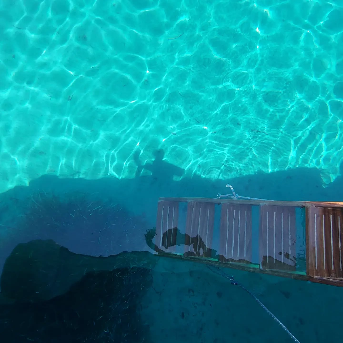 Clear water and mind!! #daycruise #skopelos #mythicaladventures #alonissosisland