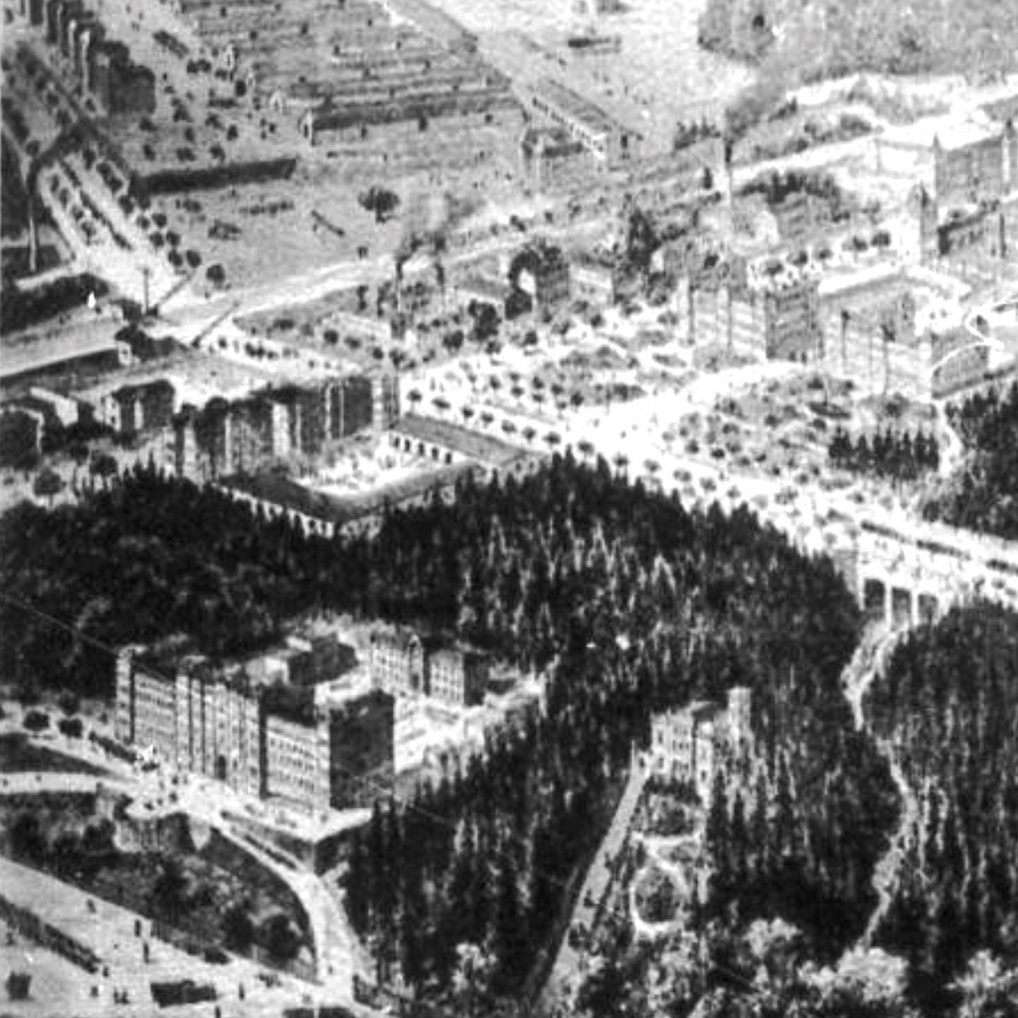 Eine Stadt vor der Stadt entsteht: Als Militär-Übungsplatz hatte der Heller schon ab Beginn der 1800er gedient. Die Militärangehörigen sind damals in der Dresdner Innenstadt stationiert.
Aber das Militär wächst und die alten Kasernen sind zu eng und nicht mehr zeitgemäß.
Es entsteht deshalb ab 1873 ein komplett neuer Stadtteil nördlich von Dresden: Nur für das Militär. Die Albertstadt.
Am Rand der Heide, an der Hangkante entlang, legt man eine neue Straße an: Die heutige Stauffenbergallee. Sie verläuft vom Heller bis zum Waldschlösschen. Hier reihen sich die vielen neuen monumentalen Gebäude auf: Kasernen, Arsenal, Versorgungsanlagen. Später sogar eine eigene Kirche, die Garnisonskirche.
Angelegt wird die Albertstadt damals für ca. 12.000 Menschen, bei einer Größe von 380ha.
Eine echte Stadt vor der Stadt – im Volksmund bald „Kasernopolis“ genannt.