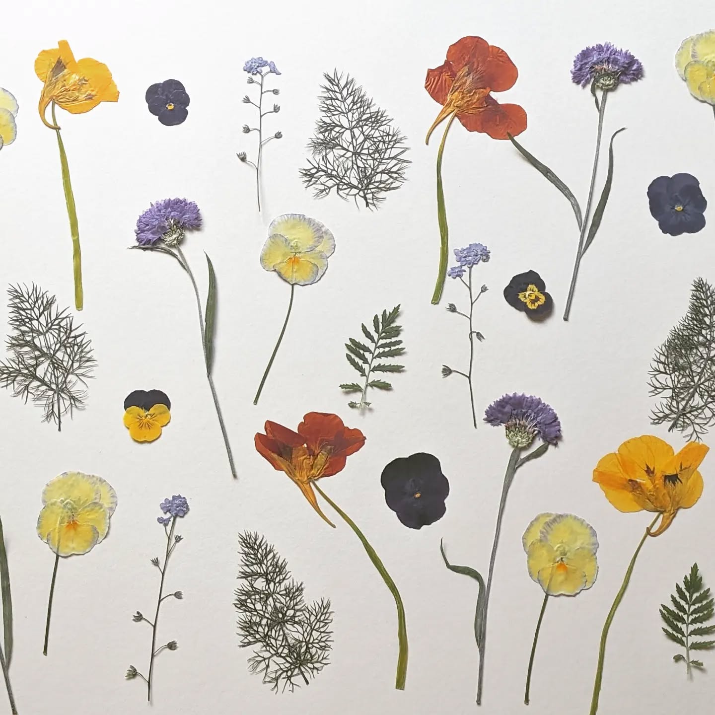 A choice of autumn themed pressed edible flower arrangements, custom designed for a 3 tier cake.
.
.
.
.
.
#pressededibleflowers #floracleflowers #pressedflowers #edibleflowersandleaves #edibleflowers #autumnflowers #devonflowers #weddingflowers