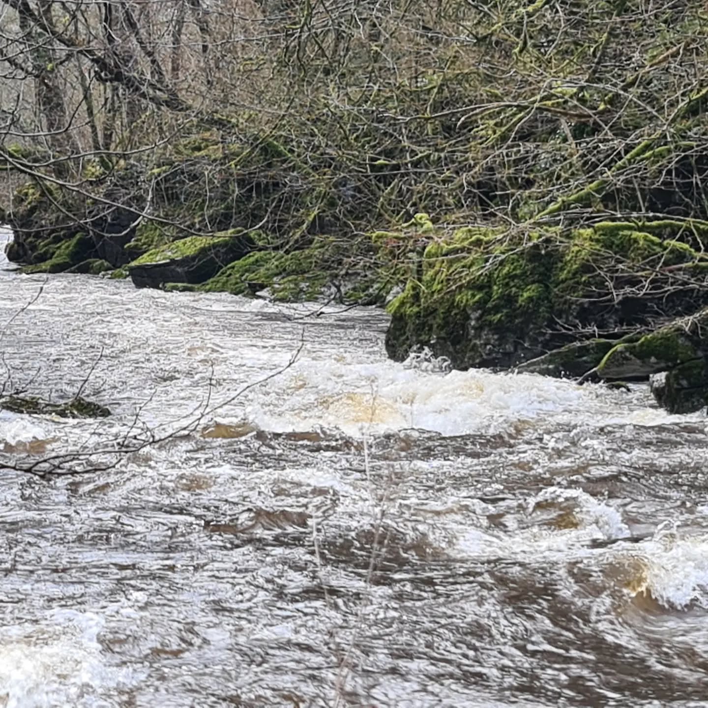 Good walk around a wet and powerful four falls today