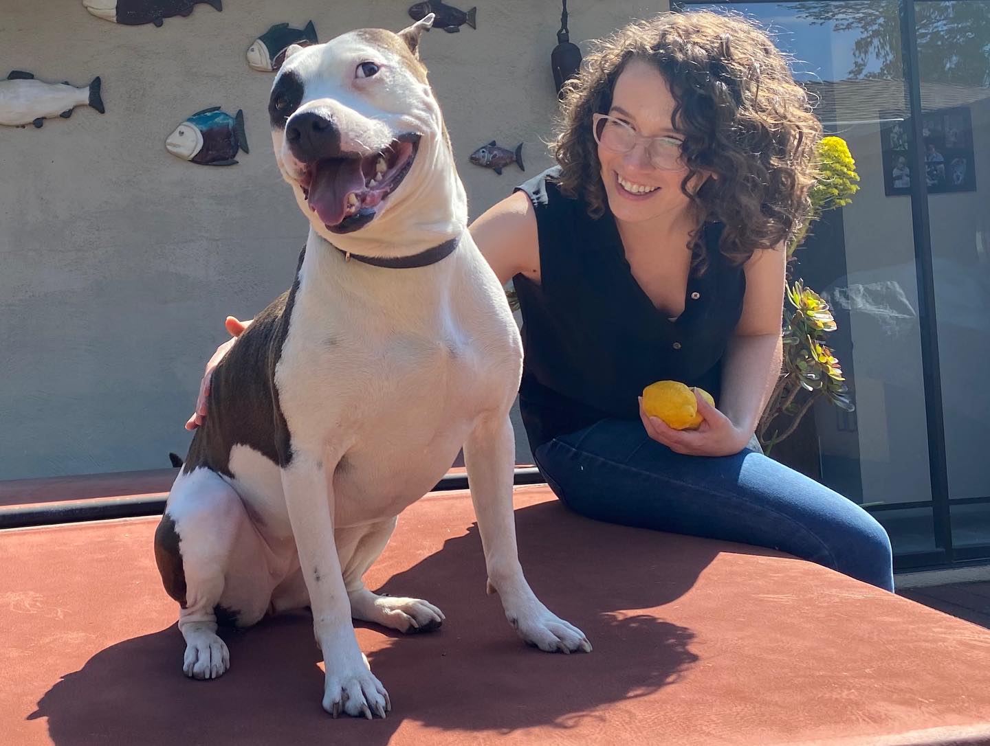 I might be a day late for International Dog Day, but you best believe I was celebrating with a slobbery game of fetch and many a belly rub! Cheers to the fuzzy friends who have transformed my quarantine experience, and their amazing humans @natalwhy and @nadinedamonte for sharing such incredible puppy love!!! The queen of beaming/staring contest master is Indi of @oliandindi fame, and the little miss with the ball/vanquisher of @dustindamonte is none other than sweet angel Lily. Don’t they just make your heart melt?!?