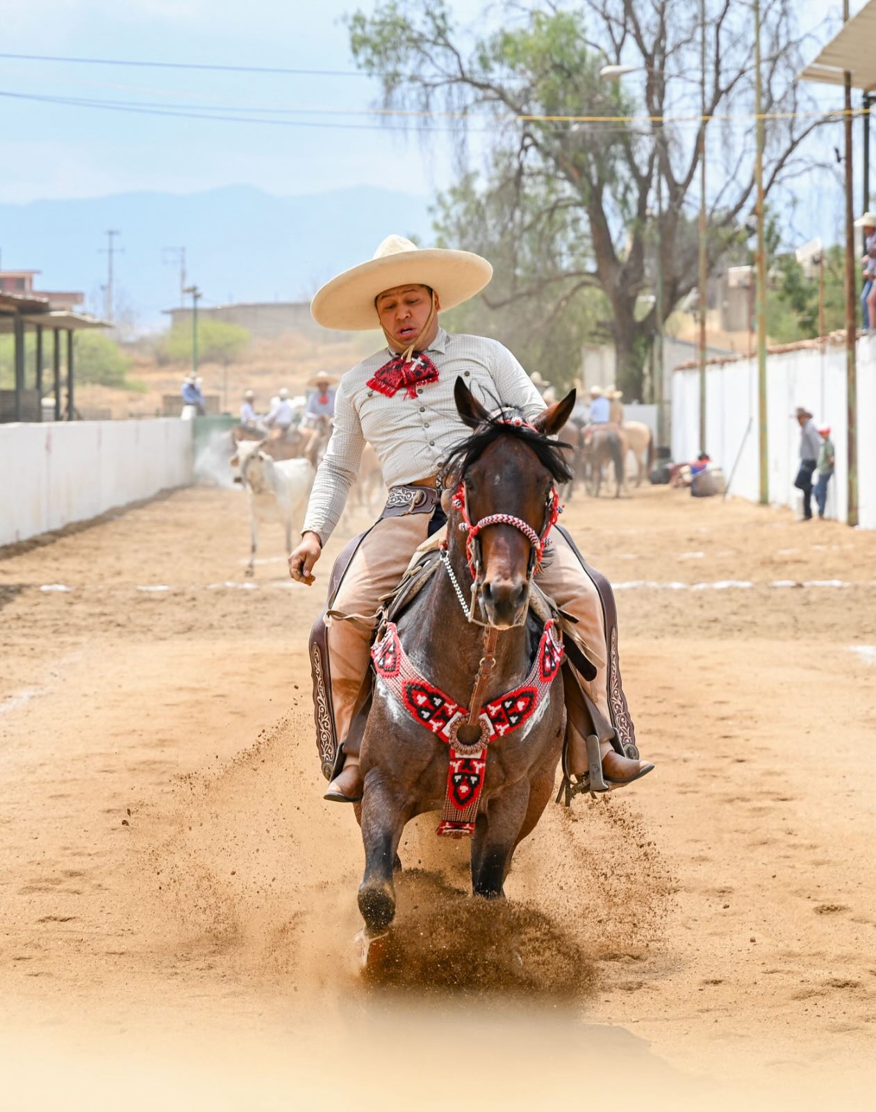 Moments from the Charreria in Oaxaca
#charro #equestrian #rodeo #cowboys #oaxaca