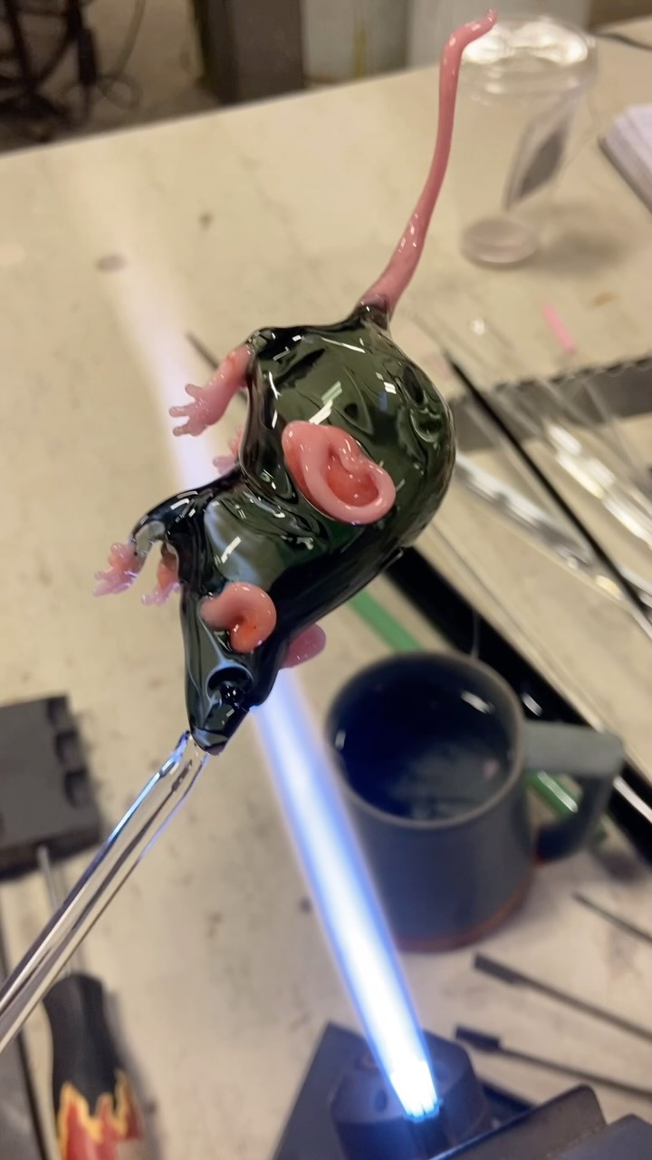 Just a little mousie 🐁
Sporting a little ear 👂🏻
Like the real experiments- done by Vacanti and his team.
#glassblowing #glassrat #vacantimouse #mouse