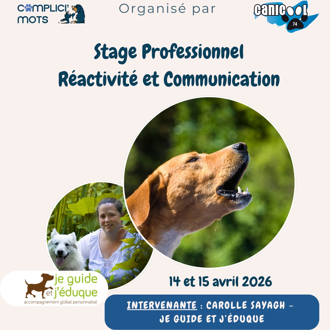 Se poser des questions sur ses choix face à un chien réactif, ce n'est pas un manque de confiance.
C'est exactement ce qui fait un bon professionnel.
Ce doute sur la présence de ton chien, sur la mise en situation, sur jusqu'où aller — il mérite qu'on lui accorde du temps et de l'attention.
C'est pour ça que ce stage existe. Pas pour te donner des réponses toutes faites, mais pour affiner ensemble ta lecture du chien — pour que les signaux soient plus lisibles, et tes choix plus évidents et plus sereins.
📅 14 & 15 avril
📍 Chavanod (74)
💰 360€ · 🎁 310€ fidélité · 2 places en participants avec chien, et 2 places en auditeur
👉 Lien en bio ou stagecanin74@gmail.com
Avec @je_guide_jeduque et @emilie.complicimots , soutenu par @wouffissime