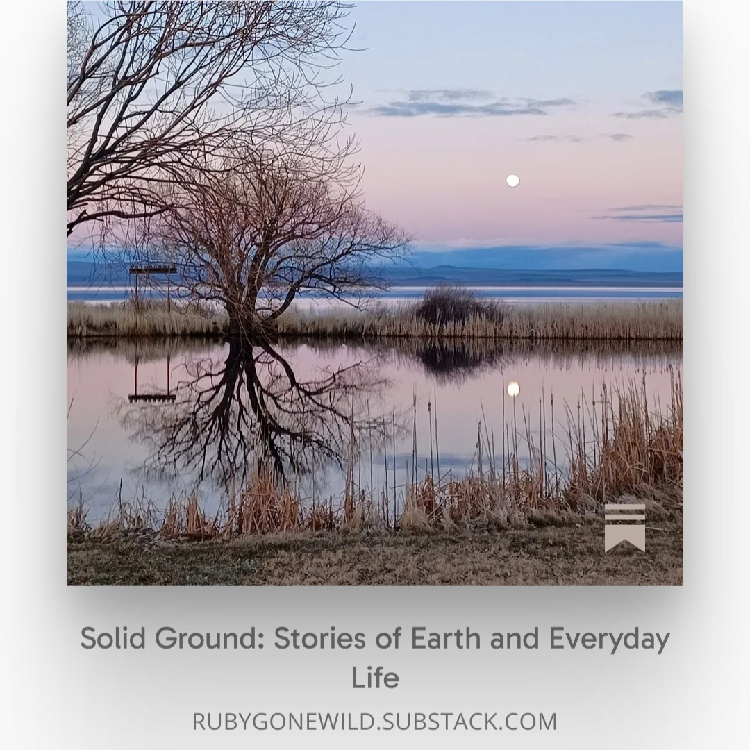 New dispatch from the largest Dark Sky Sanctuary in the world: https://open.substack.com/pub/rubygonewild/p/field-notes-from-the-oregon-outback?r=5v70be&utm_campaign=post&utm_medium=web&showWelcomeOnShare=true