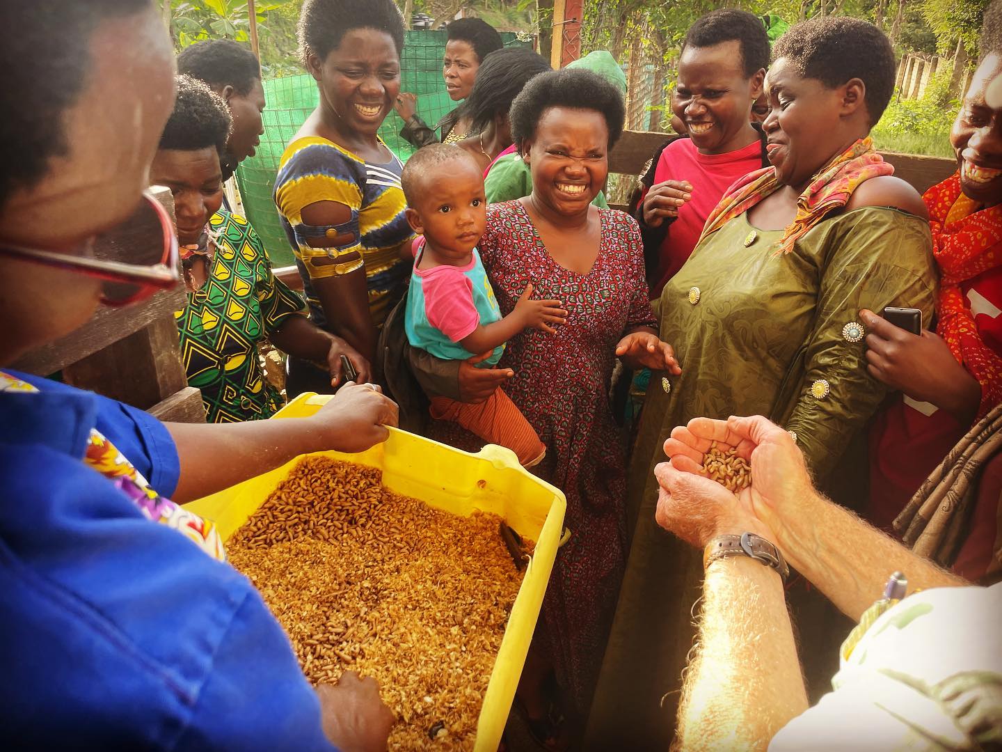 Yesterday the pastors’ wives took a break from the classroom and toured the agriculture demonstration farm. Gary reminded them that God created everything - even fly larvae! These larvae may be gross, but they make excellent and virtually free animal feed! Our hope is that our students return home with new ideas that will help them better provide for their families.