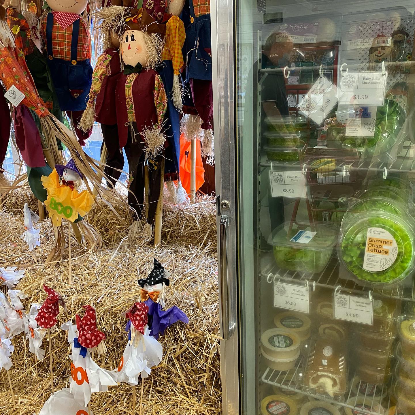 It’s finally feeling like fall! 🍂🍂
If you’re looking to make some yummy fall salads or wraps, stop by Butler’s Orchard, and pick yourself up some of our fresh lettuce and pesto!