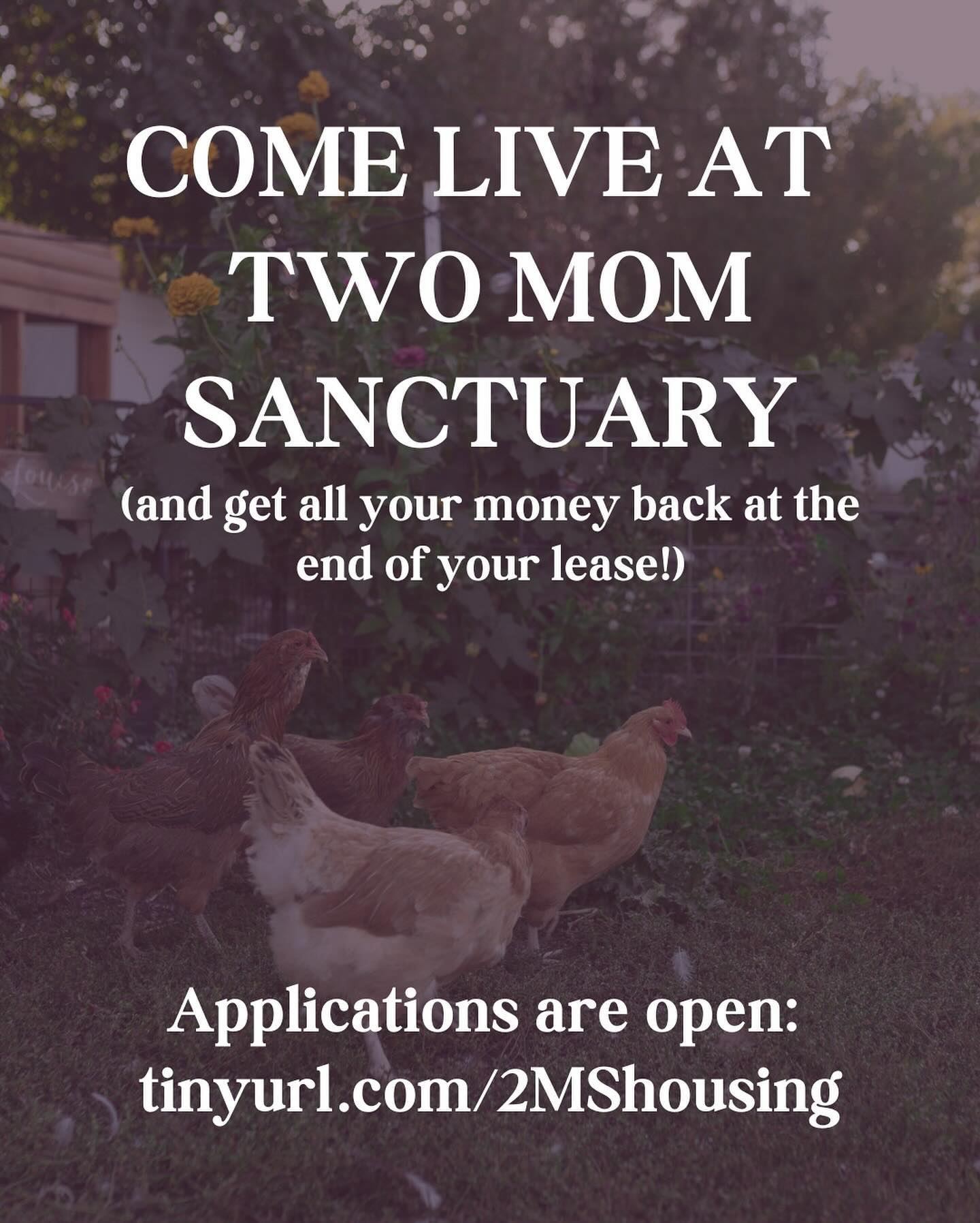 Learn more about this next chapter for @twomomsanctuary by visiting our pinned posts.
Application link in bio, please share! For a community focused housing project to work, it must be community driven - every share helps build community!