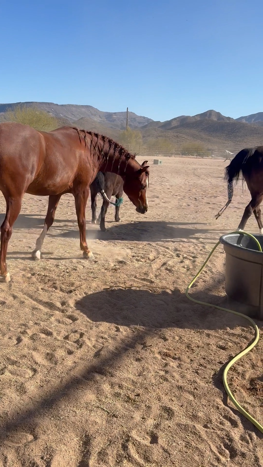 "I'm not touching you"