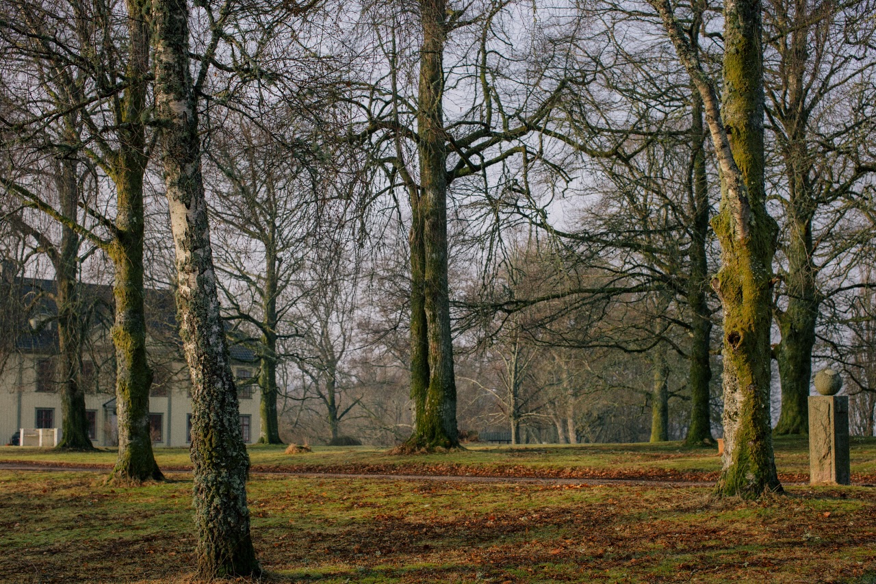 Välkommen till en spännande kväll med lokal historia! ✨
Den 16 april kl. 18.00 bjuder vi tillsammans med Munkedals hembygdsförening in till en föreläsning om stenåldern och Hensbackakulturen.
Tid: 16 april kl. 18.00
Pris: 150 kr/person inkl. räkmacka ich kaffe
Anmälan sker via Munkedals hembygdsförening - se affischen för detaljer.