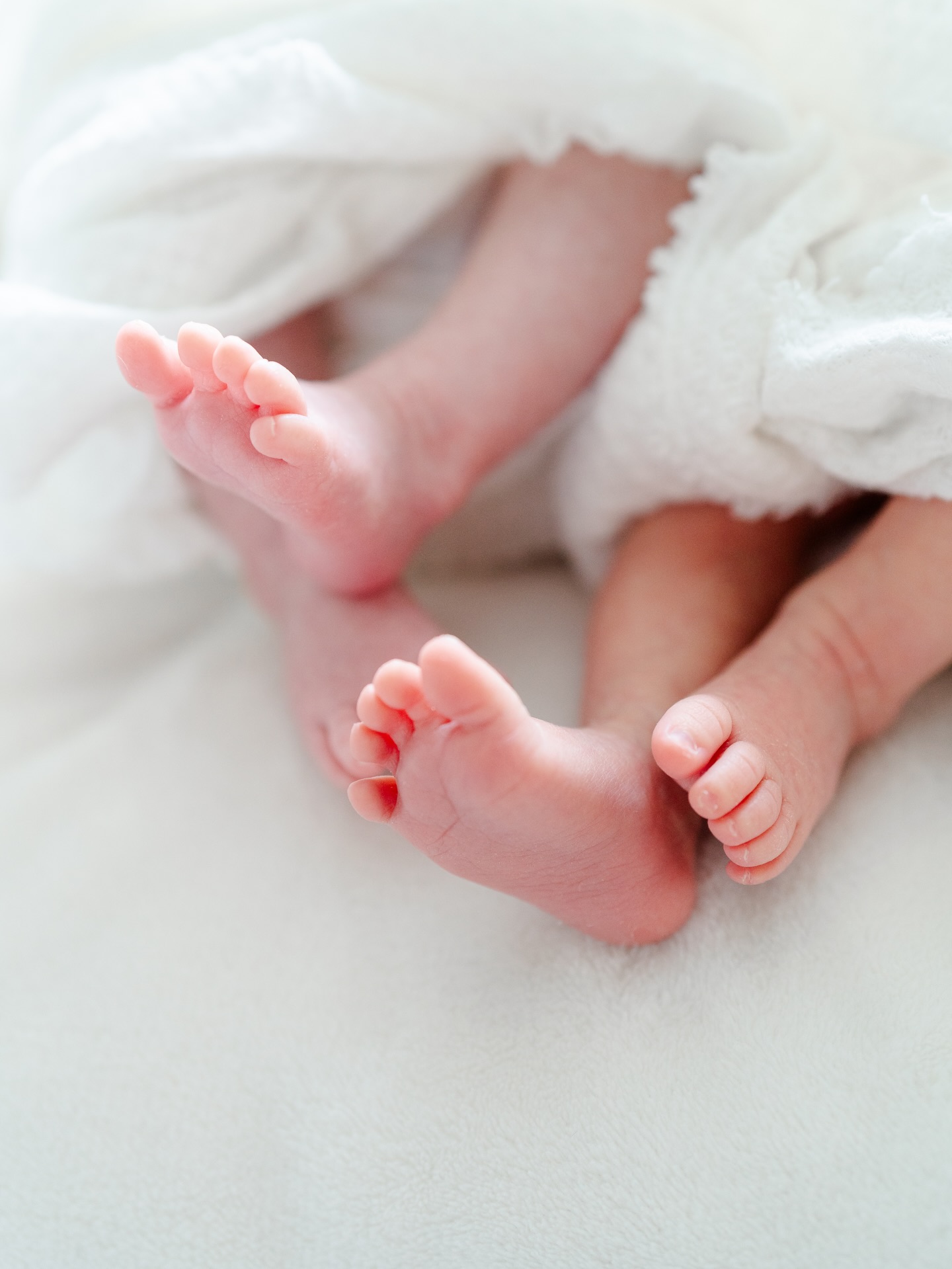 Seasons change, priorities shift, I’m embracing a slower season this year as I navigate homeschooling my children and being more present with my family.
With that being said, here are some changes occurring this upcoming year:
📆 My calendar will be limited to accepting no more than 3 session dates a month.
📍For dol events, I will only be photographing at the Fogo de Chao location in Tyson’s.
🍁 Lastly, for the month of October, I will be offering mini and petite sessions only (no full session bookings). I will be finalizing locations and dates for fall minis very soon so be on the lookout.
I appreciate each and every one of you. Thank you so much for your continued support and understanding.