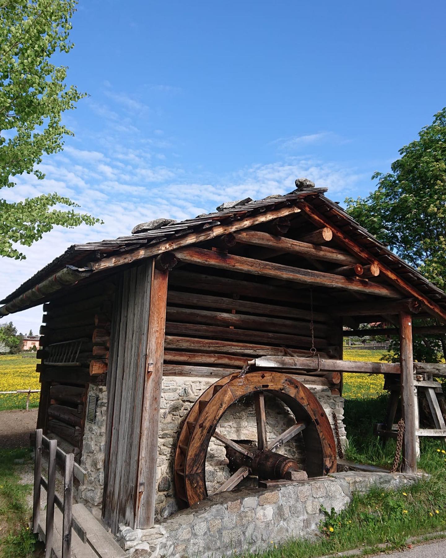 Morgen Samstag 2.9. sind das Museum🏠🌲, die Schröder Schmitte und die Rohrmühle von 14.00-18.00 Uhr geöffnet. Beim Museum gibt es „Härdöpfelribel, Öpfelmuäs und Alpchääs“, sowie ein feines Kuchenbuffet🍰🧁.
Musikalische Unterhaltung 🪗🎺umrahmt den Event und es gibt frisches Holzofenbrot 🍞🥖 zu kaufen.
Der Eintritt ist frei.
Wir freuen uns auf zahlreiche Besucher und auf einen gemütlichen „Hengert“. #heimatmuseum#nutlihüschi#kulinarischerevent#regional#walserkultur#frischesbrot#klosters#prättigau#graubünden