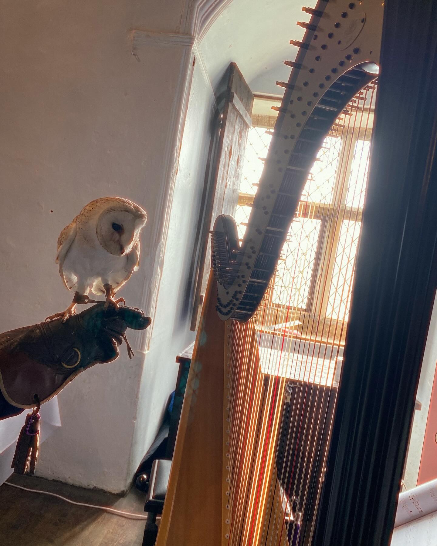 The wedding fayre at @boltoncastlewensleydale was quite literally a whirlwind. The weather was absolutely crazy, and as it’s a half ruined medieval castle, the cold draft was screaming through the window behind me!
I want to extend thank yous to everyone that helped me schlep the harp up and down those terrifying staircases: Emma at UK Wedding Event, @saffronvisuals, and I’m afraid I didn’t get the name of the other business that risked his back too! Also thank you to the very kind man in the shop who let me warm my hands behind the counter!
All worth it to have this mini photo shoot with Titch the resident barn owl and part time ring bearer. For those of you that know me, I am already acquainted with Titch as she is the owl in my Facebook profile picture. 😍🦉
#ukweddings #owlsofinstagram #harp #harpist #harpistlife #yorkshireweddings #weddingfair #boltoncastle #barnowl #owls #owllovers #boltoncastleweddings #aesthetic #albumcoverart #castlesofinstagram #britishcastles #englishcastles #medieval #medievalcastle #yorkshire #wensleydale #practicalharpist #harpcolumn #lyonandhealy @boltoncastleweddings @harpcolumn