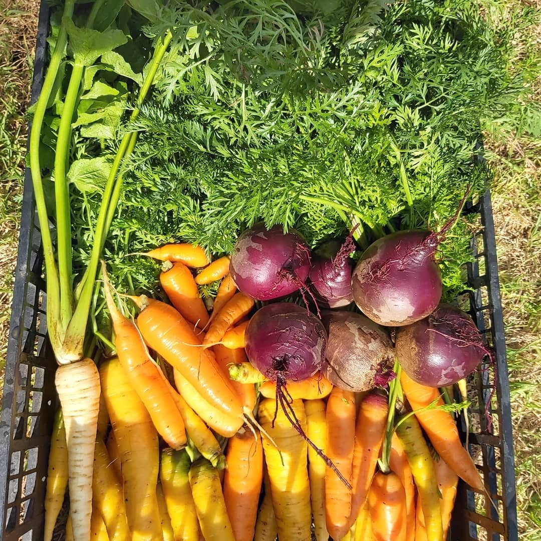 Look at these colors!
Estas cores;!!