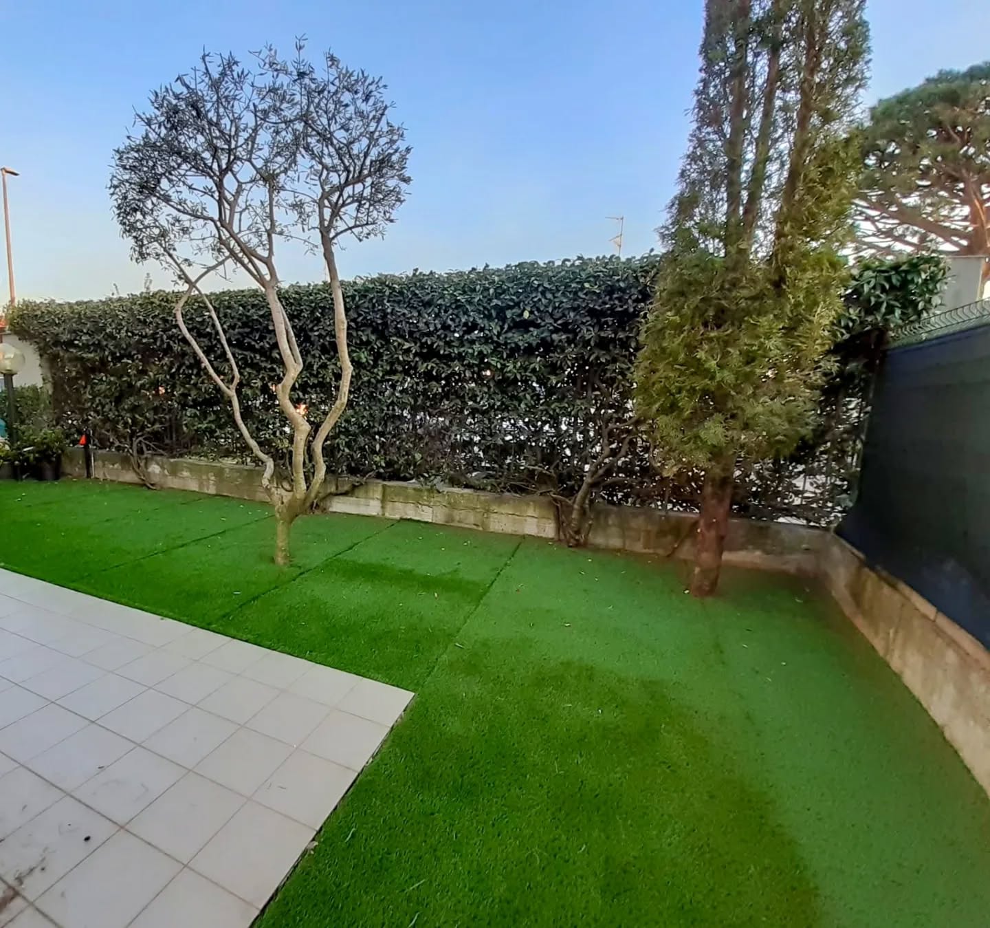 Posa erba sintetica
.
.
.
.
.
.
.
.
.
#treesurgeon #treclimbing #giardinaggio #giardino #natura #garden #piante #green #fiori #verde #nature #gardening #potatura #italy #giardiniere #giardinodicasa #italia #love #flowers #giardinaggiochepassione #plants #polliceverde #potature #foglie #sempreverde #giardini #erbasintetica