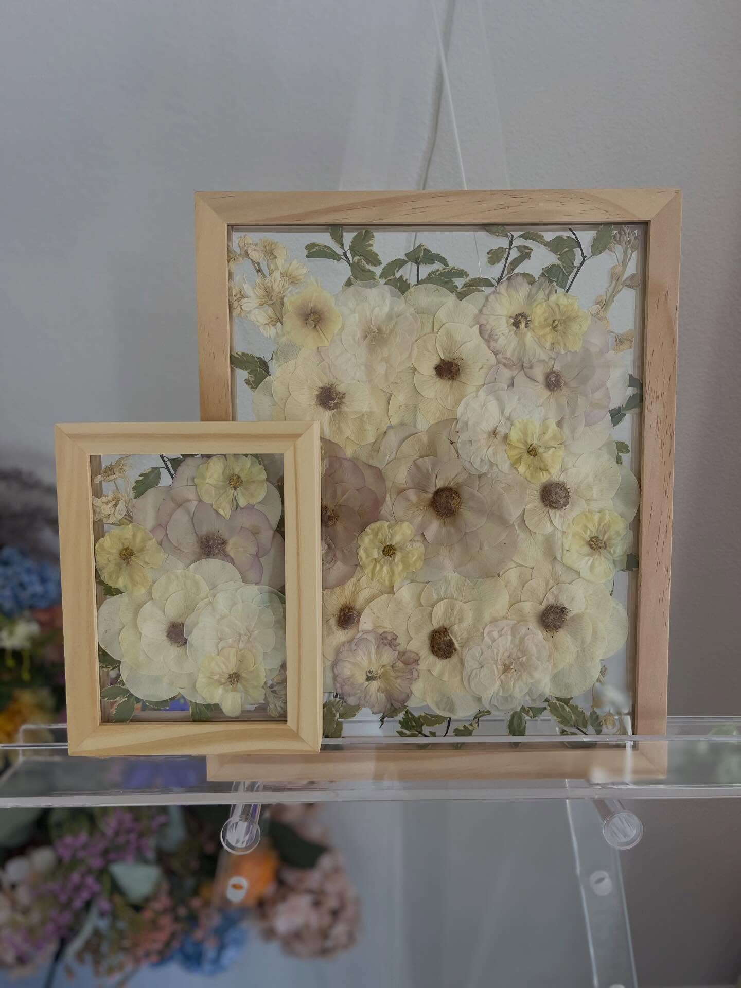 Spring wedding season is here and we are so excited! 🌸💍
If you’re getting married this season, don’t forget to preserve your bouquet. Your flowers deserve more than just a day — we can turn them into a beautiful framed keepsake you’ll enjoy for years to come.
We accept bouquets shipped from anywhere in the U.S., offer weekend drop-offs in Dripping Springs and last minute orders!
Let’s preserve your flowers and the memories that come with them. ✨
👉www.texaspressedflowers.com
#texaspressedflowers #springwedding #weddinginspo #pressedweddingflowers #floralpreservation