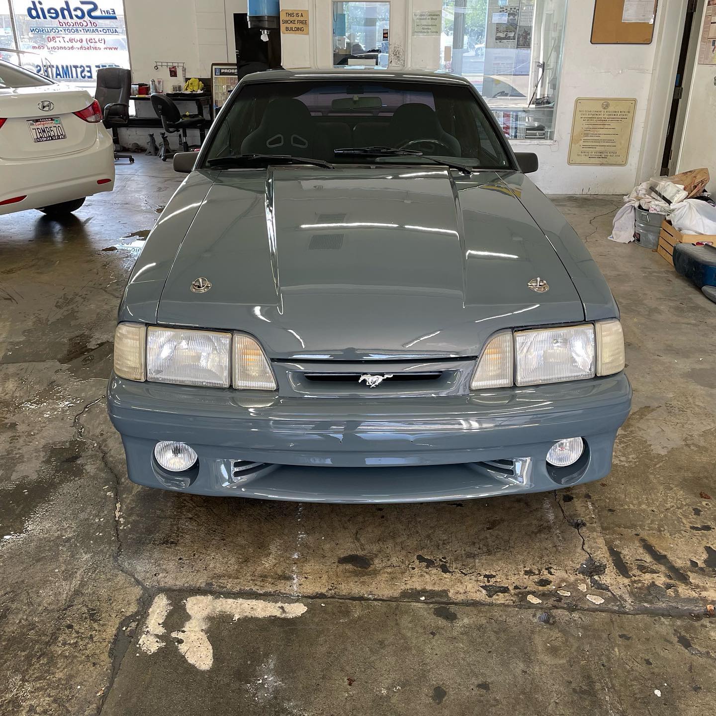 #affordablecarpaintingw/quality