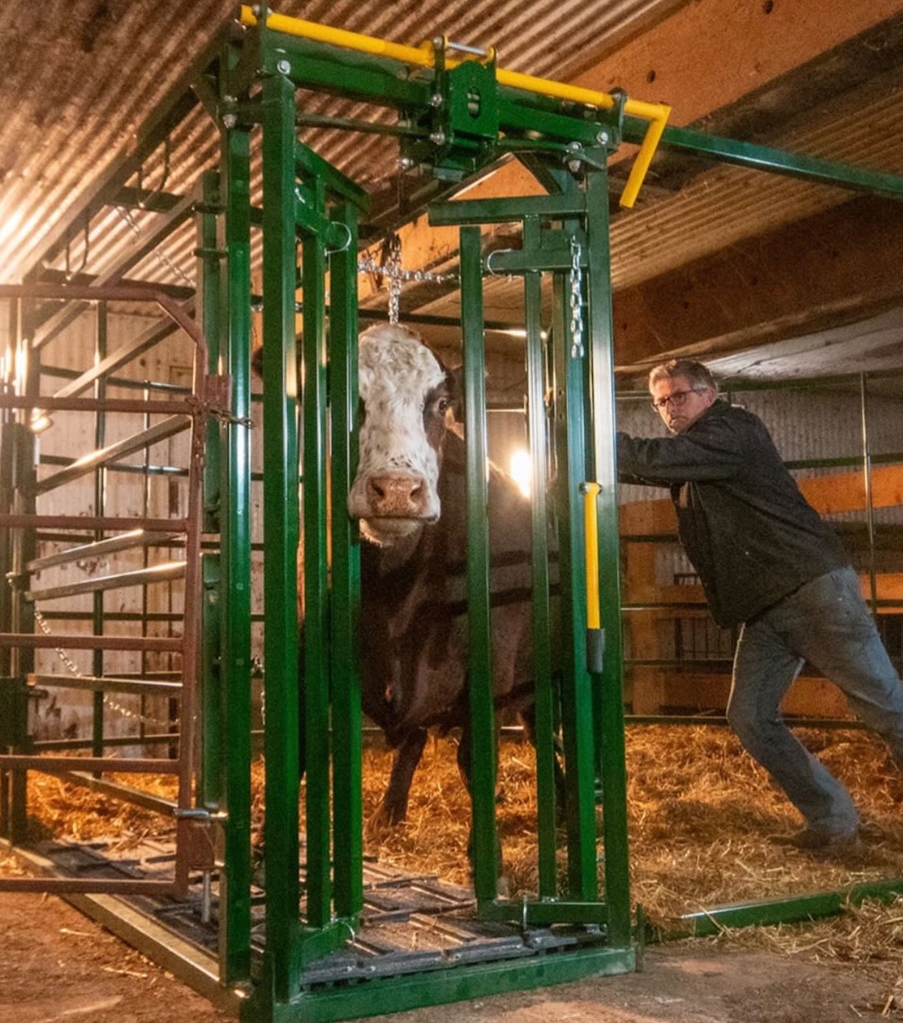 Calving season isn’t the time for guesswork.
Your maternity pen should work with you—keeping both cows and calves safe when every second counts.
Set yourself up for a smoother, safer season with equipment you can trust:
https://www.agribestfeeds.com/products/arrowquip
#calvingseason #beefcattle #ranchlife #cattlehandling #calvingpens arrowquip