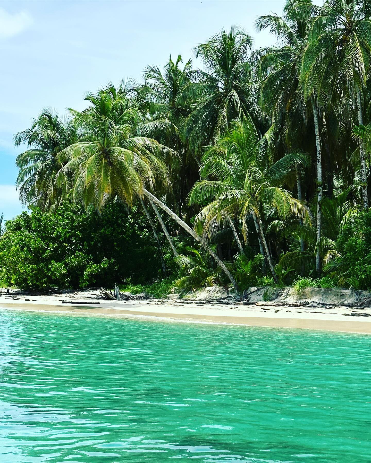 Panama!