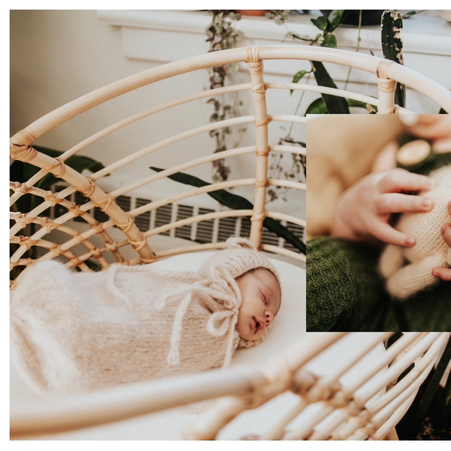 Newborn sessions
Use my rentable studio in uptown Saint John to offer your clients a premium experience. We have a door in between the studio space and greenery room. It allows for private breastfeeding and helps make it more comfortable for the parents! It is a beautiful space and doubles as a place for bright lifestyle photos.
Book yourself into our rentable photo studio with myself or your photographer of choice!