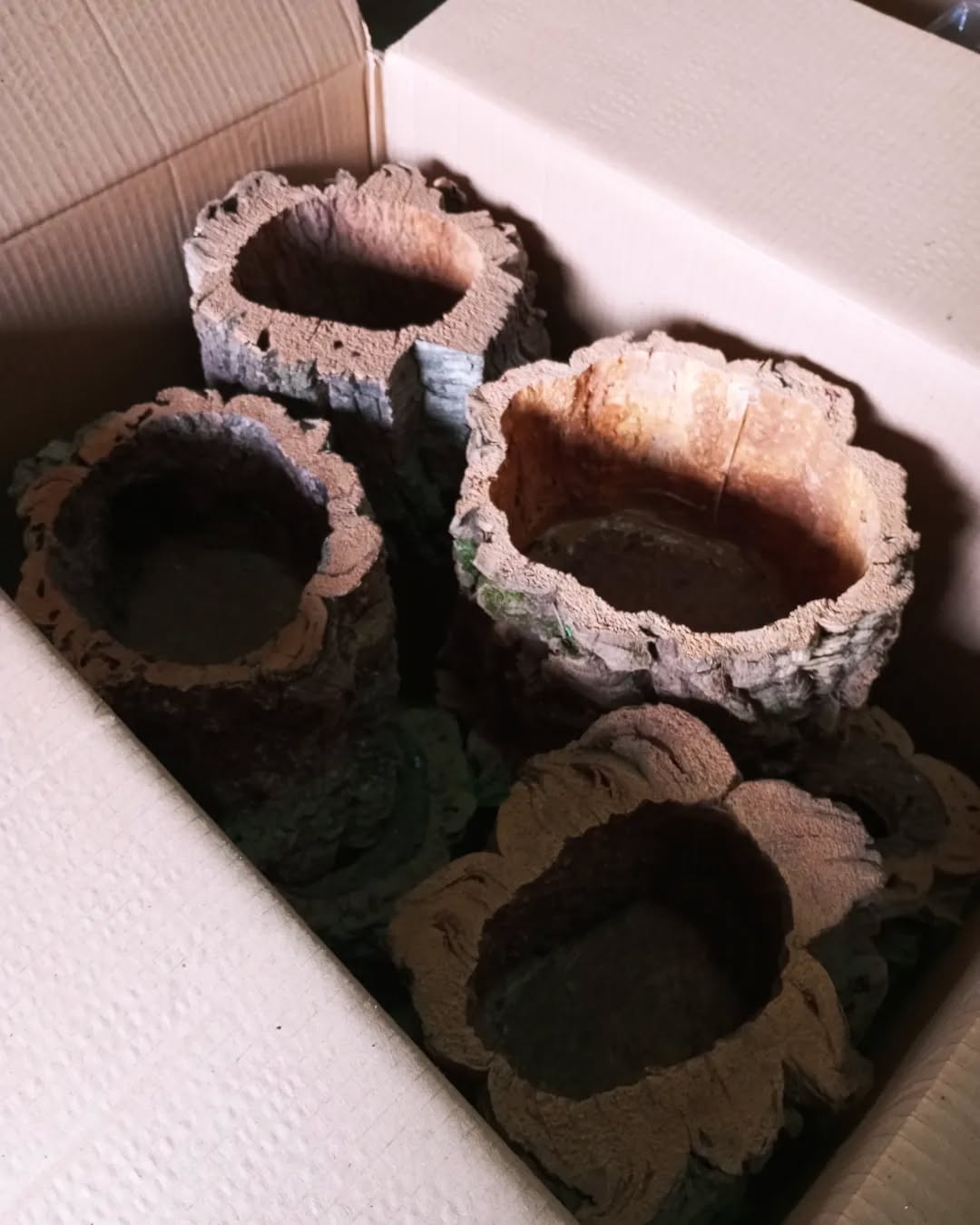 Natural Vases or Pots with a solid cork base.
Available in different sizes (length and diameter)
#garden #gardendesign #gardeninspiration #gardenlove #gardening #gardendecor #gardenideas #gardenphotography #pots #vase #vaseofflowers #plant #plantlover #homegarden #homegardening #homegardener #naturalvase #naturaldecor #naturaldecoration #tillandsia #orchid