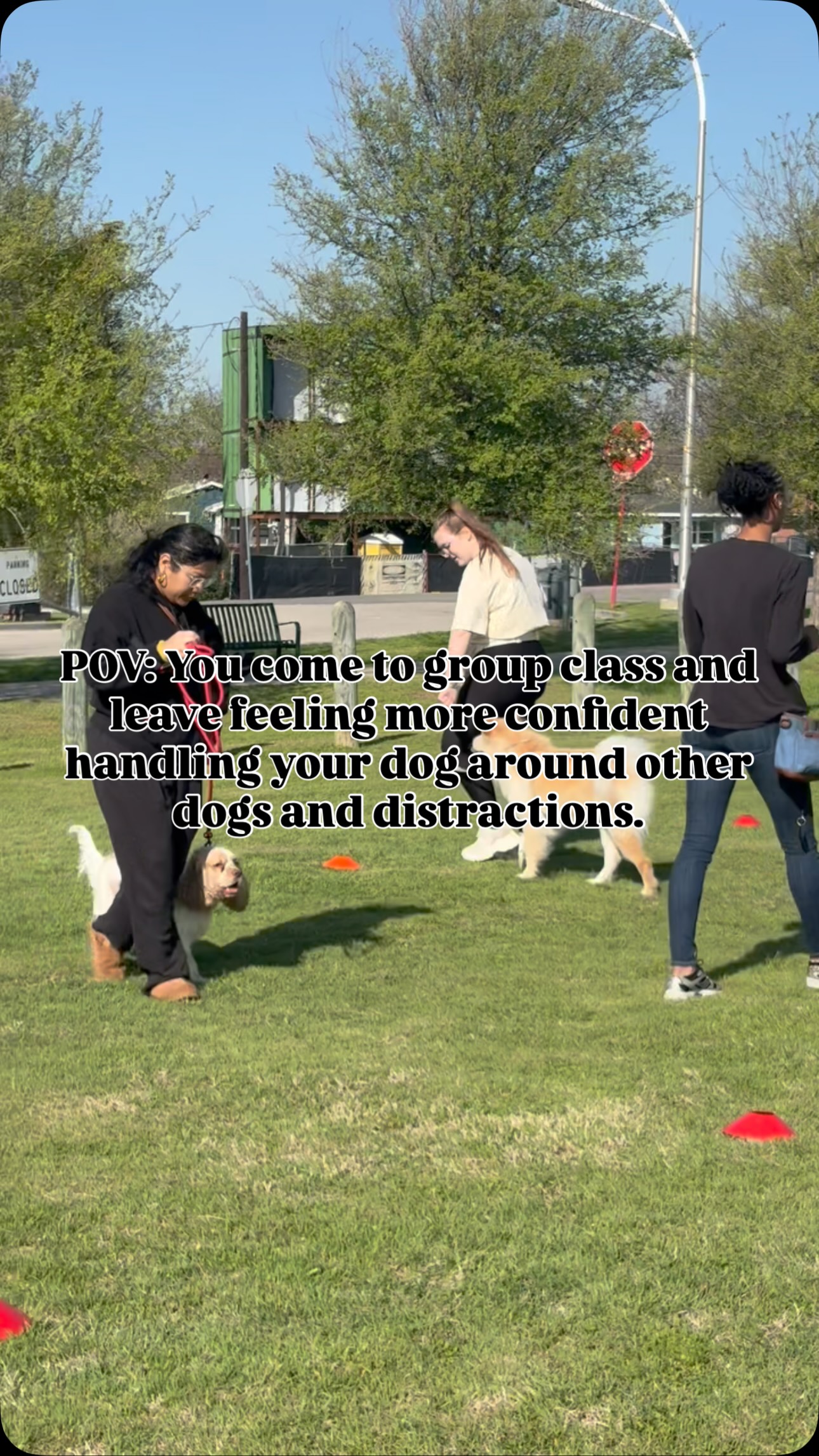 Helping dogs and their people feel more confident in the real world. đđž
#dallasdogtrainer #dallasdogtraining #dogtraininggroupclasses #dfwdogtraining #dfwdogtrainer