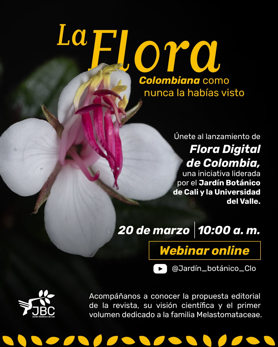 La flora colombiana como nunca la habías visto. 🌺
Acompáñanos en el lanzamiento de Flora Digital de Colombia, una iniciativa del Jardín Botánico de Cali y la Universidad del Valle para divulgar el conocimiento científico sobre nuestras plantas.
📅 20 de marzo
🕙 10:00 a. m.
💻 Webinar |Youtube: @Jardín_botánico_Clo
www.jardinbotanicodecali.com.co