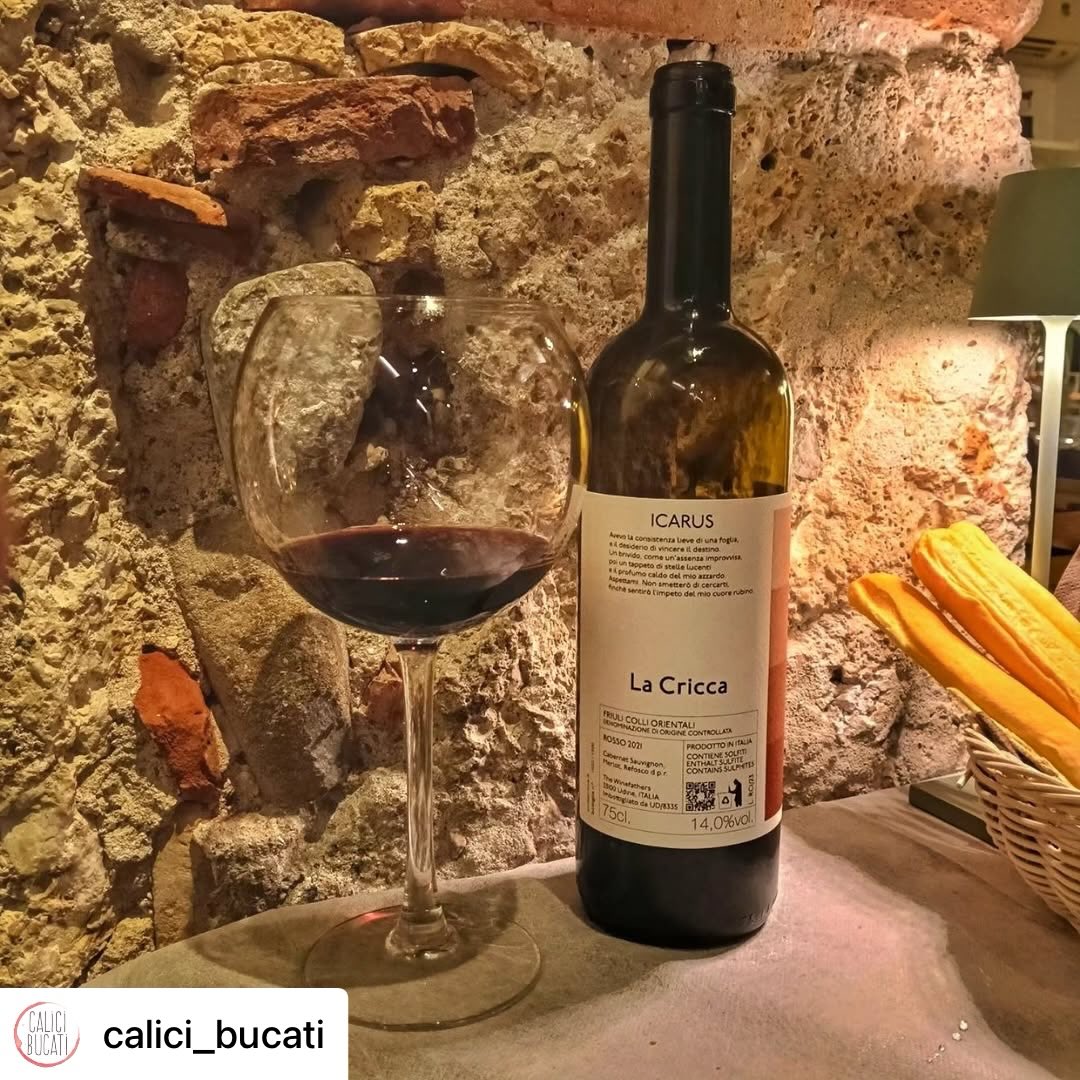 Get @reshare_app • @calici_bucati A volte anche noi siamo degli inguaribili romantici e nell’ambiente soffuso di una cena “a lume di candela” nel ristorante @osteria_di_tancredi la scelta è stata quella di un Icarus 2021 di @vinilacricca un ottimo blend di Cabernet Sauvignon, Merlot e Refosco d.p.r
*
*
*
*
#winepassion #winelovers #instawine #colliorientalidelfriuli #winephotography