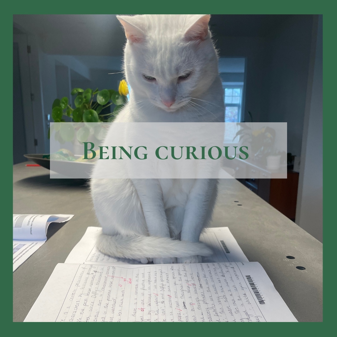 What can curiosity bring to your life?
#Curiosity #awareness #personalgrowth