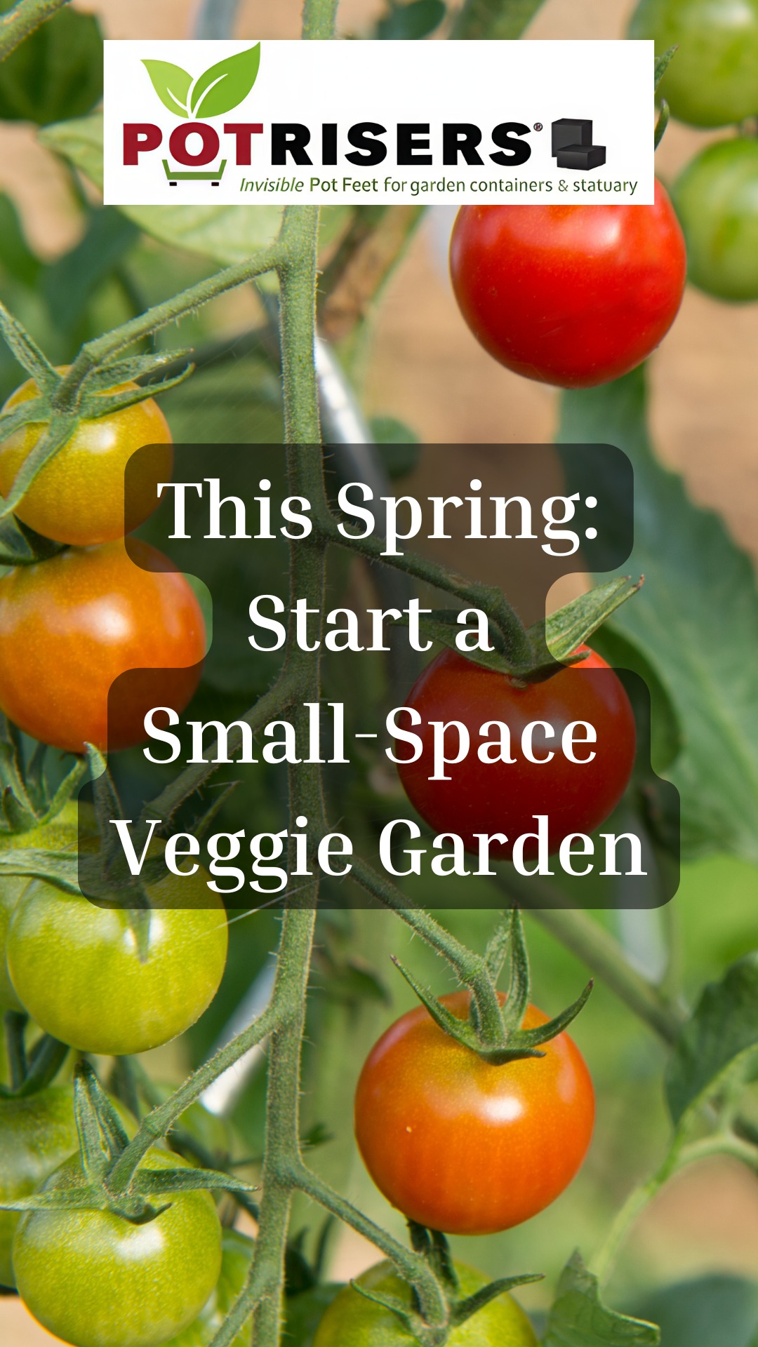 This Spring: Simple Pots, Fresh Veggies 🪴
Start your container garden with just a few pots and your favorite vegetables—no large space needed. Grow fresh, save on groceries, and enjoy the simplicity of harvesting right from your patio or porch.
Add Potrisers to improve drainage, protect your surfaces, and keep your plants thriving all season long.
#ContainerGarden #EdibleGarden #SpringGardening #OrganicGardening #VegetableGardening #SmallSpaceGardening #PatioGarden #UrbanGardening #GardenLife #EasyGardening #Potrisers #GardenTips