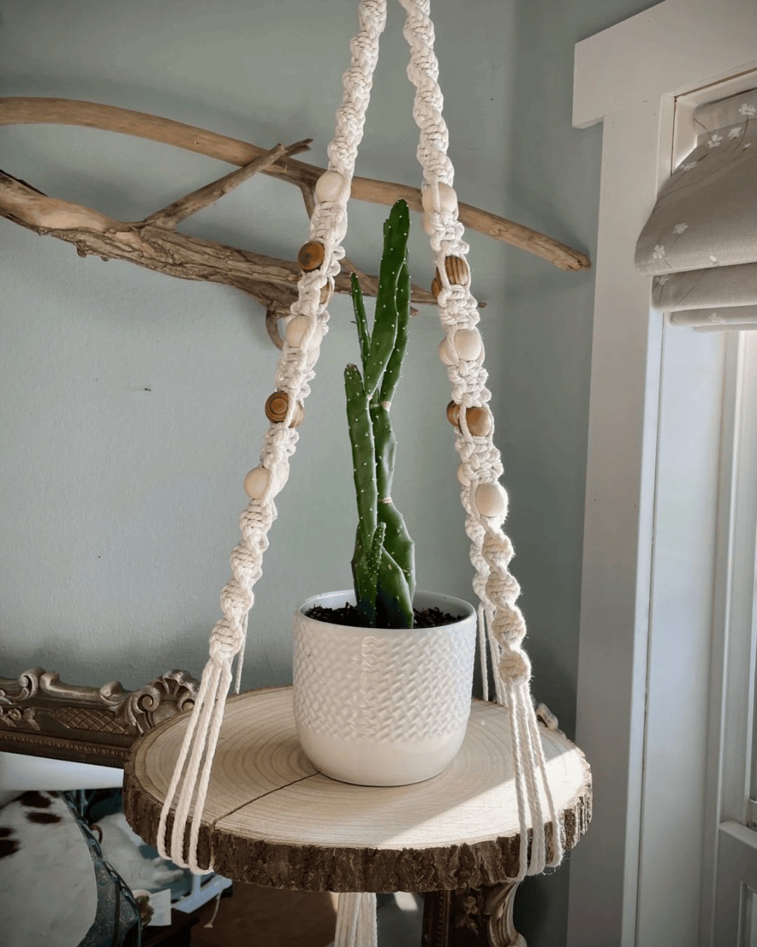Looking to add something handmade to your space? The next macramé workshop is all about creating a wood-slice plant hanger that feels equal parts rustic and modern. You’ll learn the knots, the structure, and the techniques that bring it all together, then leave with a finished piece ready to hold your favorite plant.
And as part of 'Knot Your Average Happy Hour', enjoy exclusive extended happy hour specials at CAMP Cocktail Bar.
Sunday, March 22nd • 5 to 7 p.m.
Visit warehouseboise.com for tickets or click the 🔗 in bio
Presented by Knotty Tawny