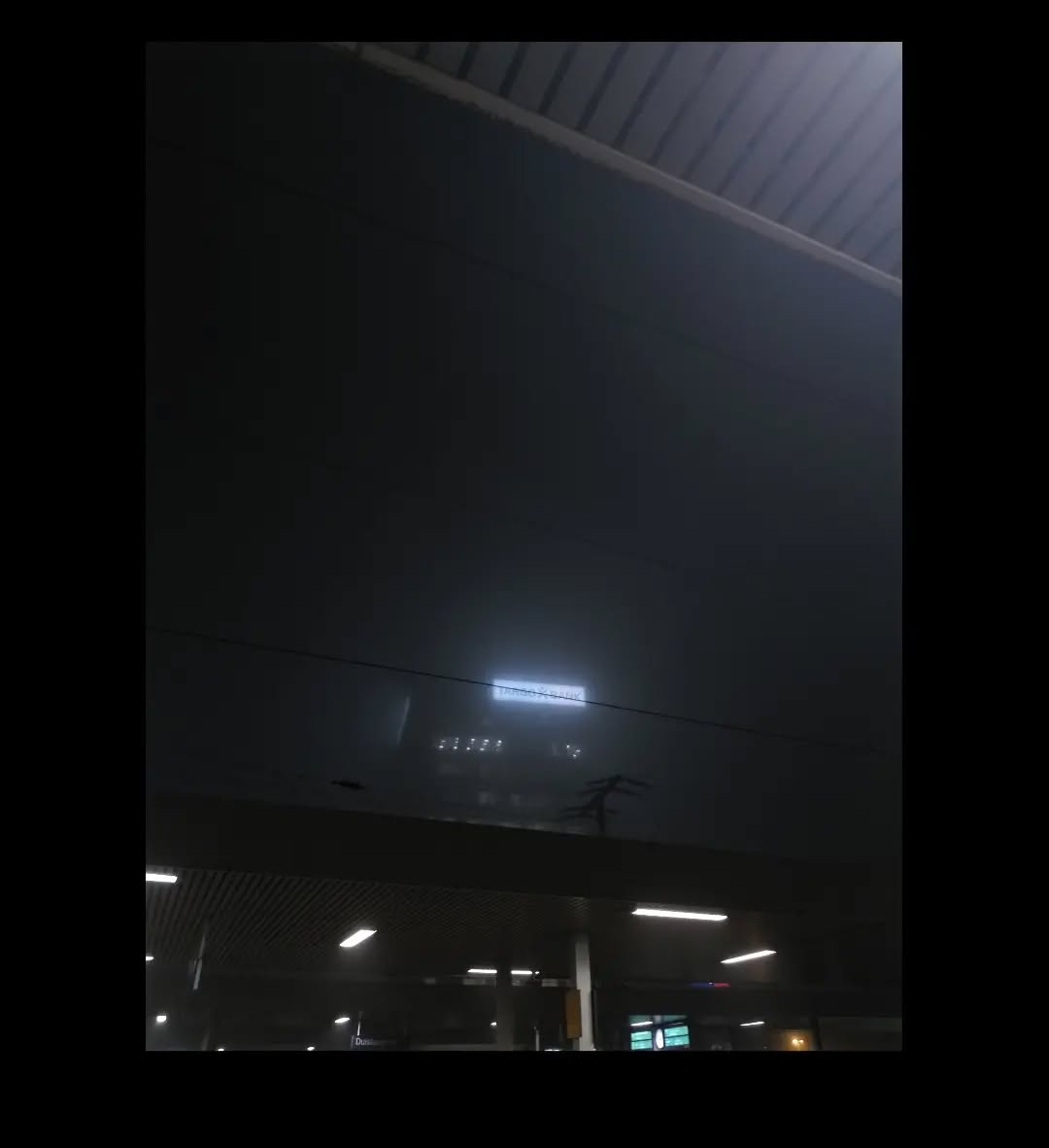 foggy city is good city 🌬
#fogphotography #fog #photography #citylights #cityphotography #lightson #winter #duisburg