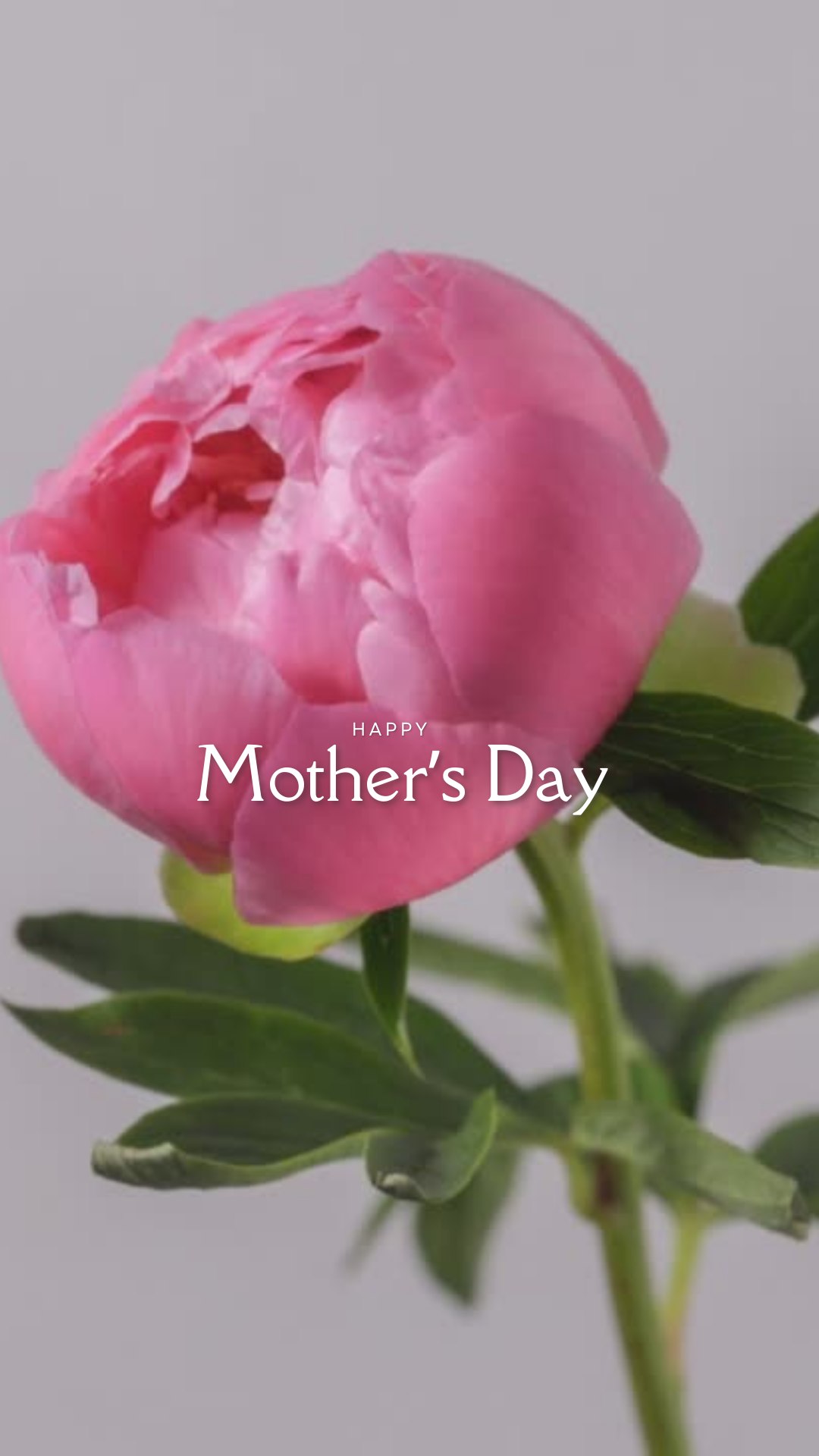 Happy Mothers Day to all the Mama's out there. We appreciate you and never forget you, whether you're with us, far away or celebrating a heavenly mothers day