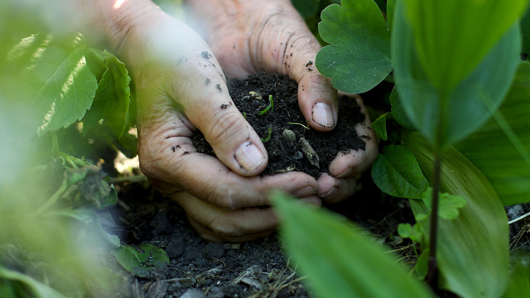 Change the Soil, Change the Heart — a new reflection on how tending the soil of our hearts invites real growth. Read the full post via the link in bio and tell me: what needs fresh soil in your life? 🌱
#ChangeTheSoil #InnerGrowth #Reflection #Mindset #TonyelleSpeaks
Link in Bio
