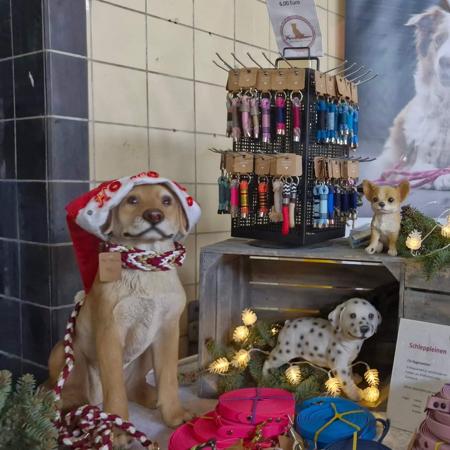 Heute sind wir noch bis 17:00 Uhr in Dorsten bei der Hunde Weihnachtsmesse Santa Paws 🐕🎁🎅
Wir freuen uns auf euch 🥰
#Hundemesse #weihnachtsgeschenke #weihnachtsgeschenkefürhunde #weihnachtsmesse #santapaws #wunschleinen