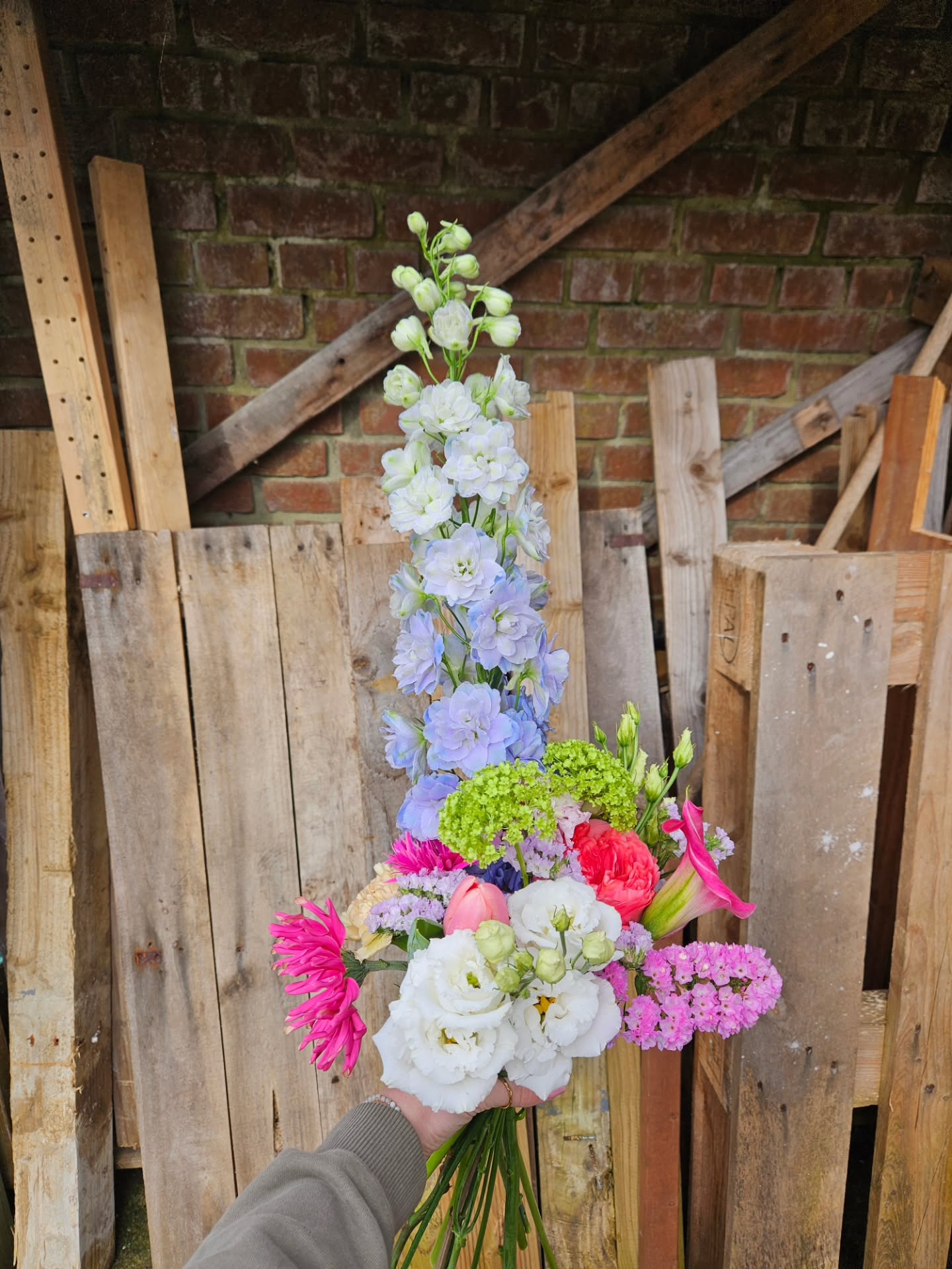 Cute cute cute.
Nel absolutely knows what she's doing when she selects flowers for Peony and Pose bouquets. She chose not to use any foliage, just focusing on flowers that made her smile.
The result... pure joy.
♡☆♡☆♡☆♡
