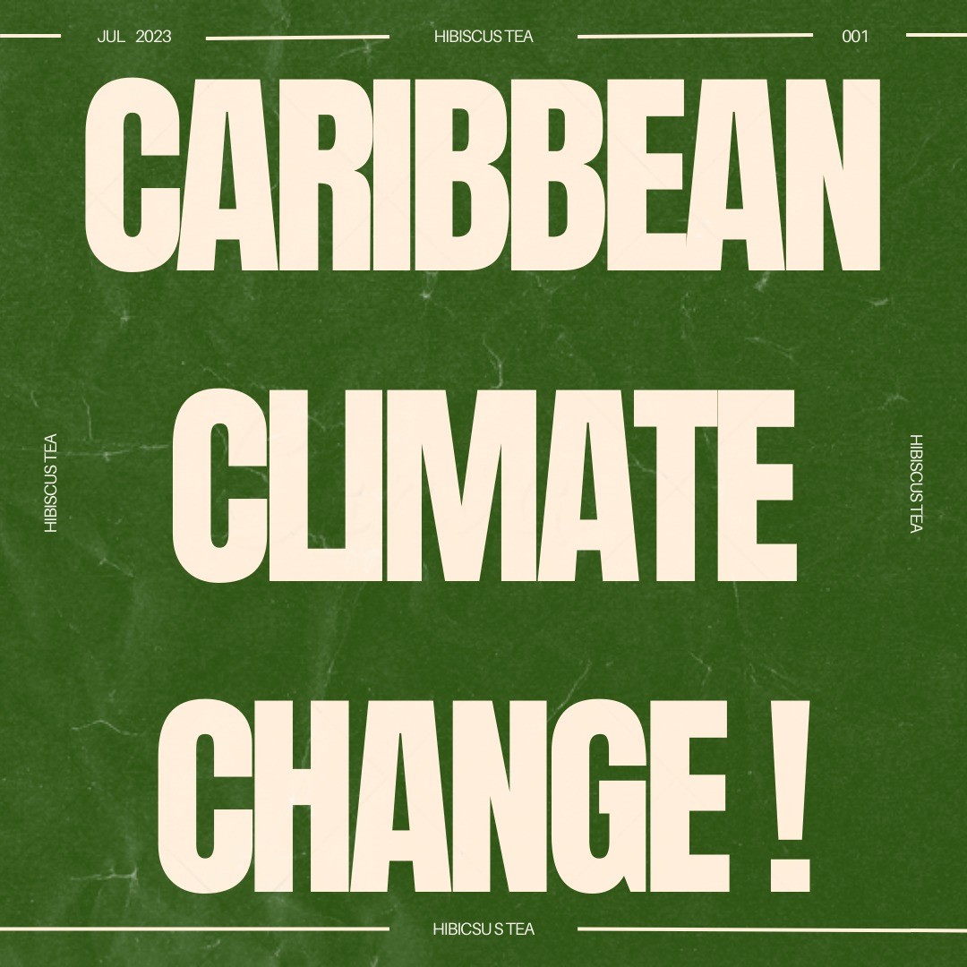Why does climate change matter more for Caribbean people?
Short answer:
Climate change represents a unique threat to the lives and development of Caribbean society disproportionate to our role in causing climate change.
Long Answer:
Situated in the Caribbean Sea, Caribbean islands are directly in the path of hurricanes. Warmer oceans mean stronger and more frequent storms. This is only the tip of the iceberg as climate change poses many more environmental, social and economic risks to the region.
This is a matter of injustice.
Hibiscus Tea is a digital column focusing on climate change in the Caribbean from a youth perspective. Click the link in the description to learn more!
.
.
.
.
📸 Photo by Anita Denunzio on Unsplash
📸 Photo by María Fuentes on Unsplash
📸 Photo by Ma Ti on Unsplash
.
.
#climatechange #climate #youth #activism #climateaction #climateactivist #climateactivism #blog #caribbean #tropics #lossanddamage #cop27 #climatejustice #westindies #youthactivism