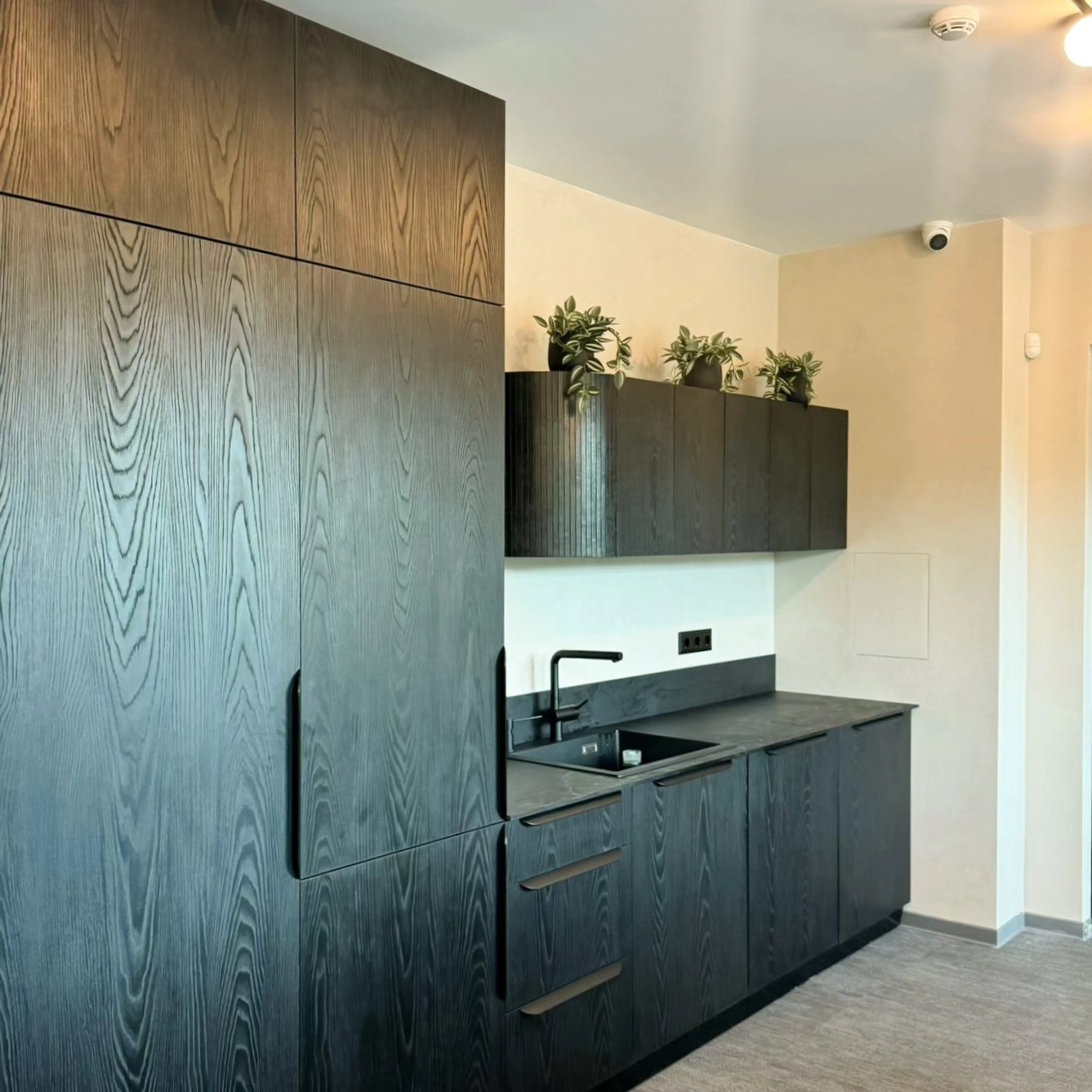 Step Inside: A Minimalistic Office Redefined with Black Elegance and Sustainable Soft-Touch Plaster Finishes
#minimalistdesign #sustainableoffice #modernworkplace #ecofriendlymaterials