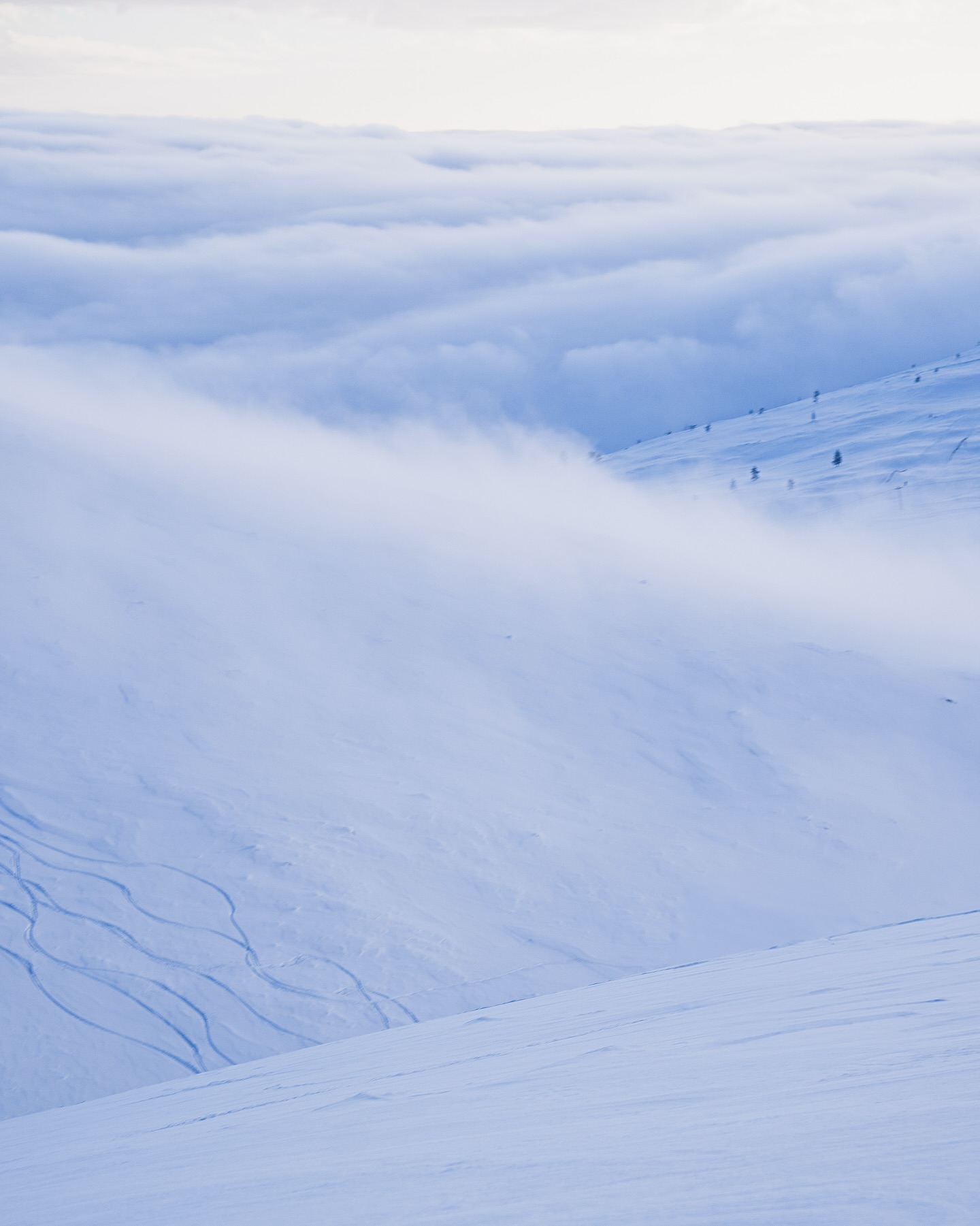 Ei se talvi vielä kesälomille lähtenyt.
Kevät yrittää uutta aikataulua, mutta tunturin pakkanen taistelee vastaan ja pitää olosuhteet puurajan yläpuolella häikäisevän upeina!
#pallaksenpöllöt
#tunturiparatiisi
#pallastunturi
#pallas
#backcountry
#lapland
#laplandfinland
#ourfinland
discovering the fells with @suunto