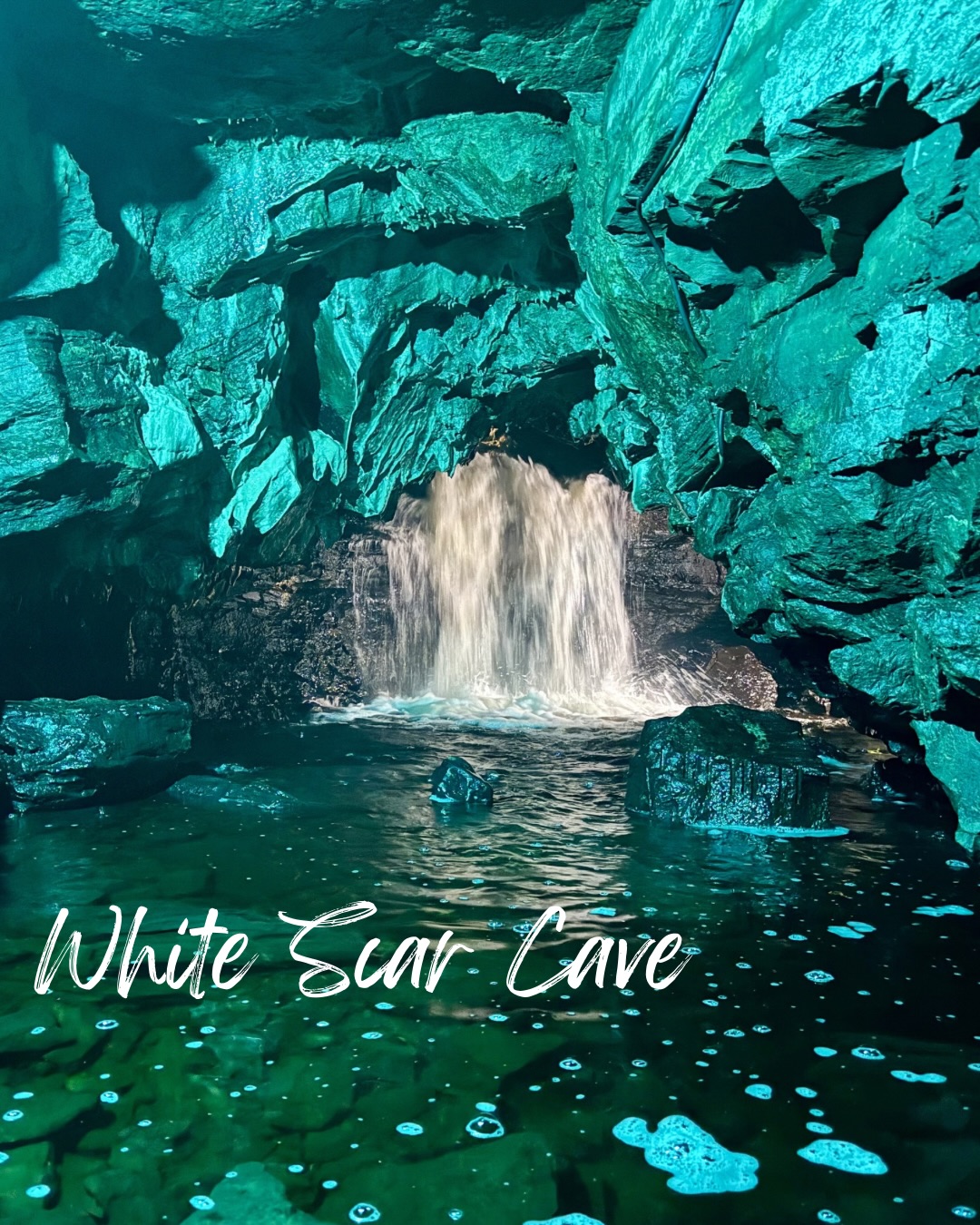 Have you ever been to White Scar Cave ?
I needed something to do that would get me out of the relentless wind and rain whilst on my solo break so I decided to head down the road to @whitescarcave
When I first arrived there was only me in the car park and I thought maybe it was a bad choice but after a few minutes more cars started arriving, it was a good job as they understandably don’t do tours for just 1 person.
The caves are only accessible with a tour guide and our guide Tim was great, and was clearly very passionate about his job. The tours last around 60-80 mins and in that time you are led through the caves, passing waterfalls and beautiful geological features.
I was a bit concerned about the two low ceilings and the place they call the squeeze 😳 but it was all manageable and added a bit of thrill to the experience. Once you’ve clonked your helmet on the ceiling a few times you learn to keep your head down on those parts.
A lot of the trail path is on a metal grid above an underground river which you follow for most of the tour.
After all that rain the river and waterfalls were thundering through the cave system.
At the end you are allowed to make your way back, retracing your steps in your own time.
Not knowing much about the caves I went in with no expectations but I was blown away by the staff, the caves and those waterfalls!!
If you are heading to the western dales, this is an absolute must visit!!!
——————————————————————
Hi 👋 We are The Harrogate Fam. Follow us to 🍽️ Eat 🌸 Enjoy & 🌿 Explore your way around Harrogate and beyond - your go-to guide for the best food, family fun & hidden gems in North Yorkshire. 💚
#yorkshiredales #whitescarcaves #exploreyorkshiredales #exploreyorkshire