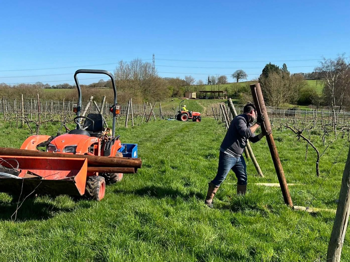 Busy day in the vineyard, that’s Ned on trellis repairs, driving in a new end post, Jane mowing in the prunings with the tractor and topper. Paula behind the camera.
.
Pruning finished today. Just in time as the earliest buds start to unfurl….